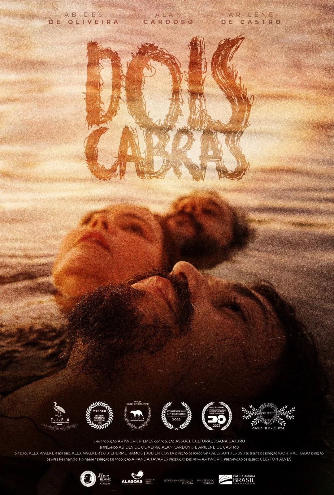 Poster of the movie Dois Cabras