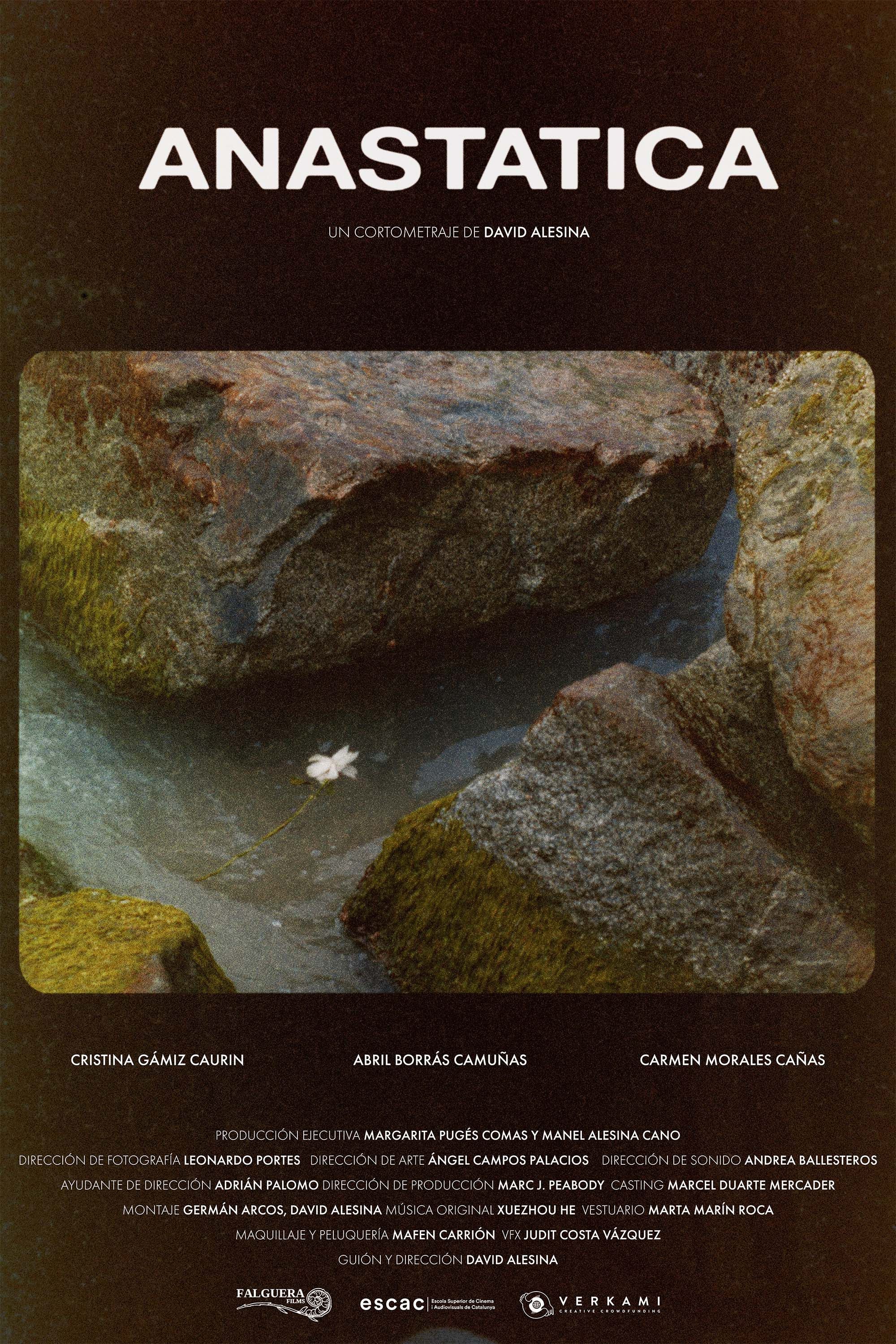 Poster for Anastatica