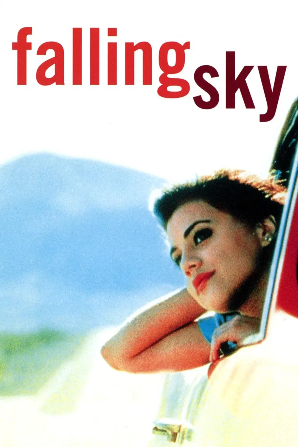 Poster of the movie Falling Sky