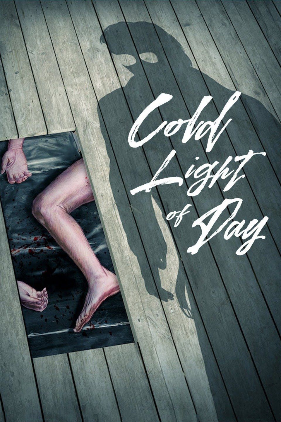 Poster of the movie Cold Light of Day