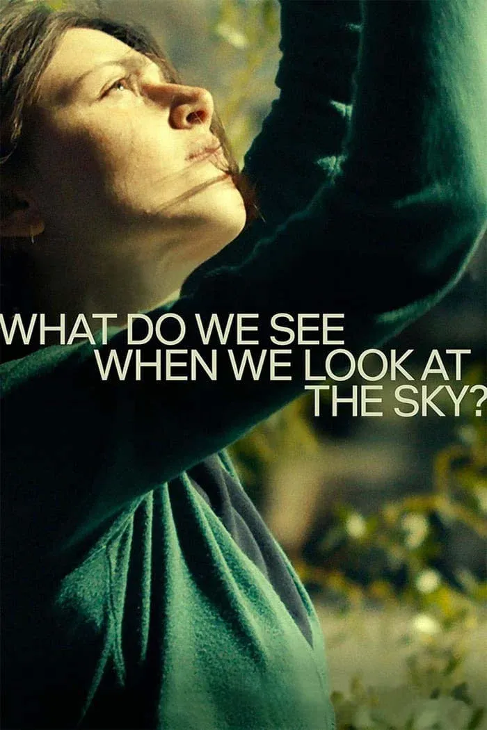 Poster of the movie What Do We See When We Look at the Sky?