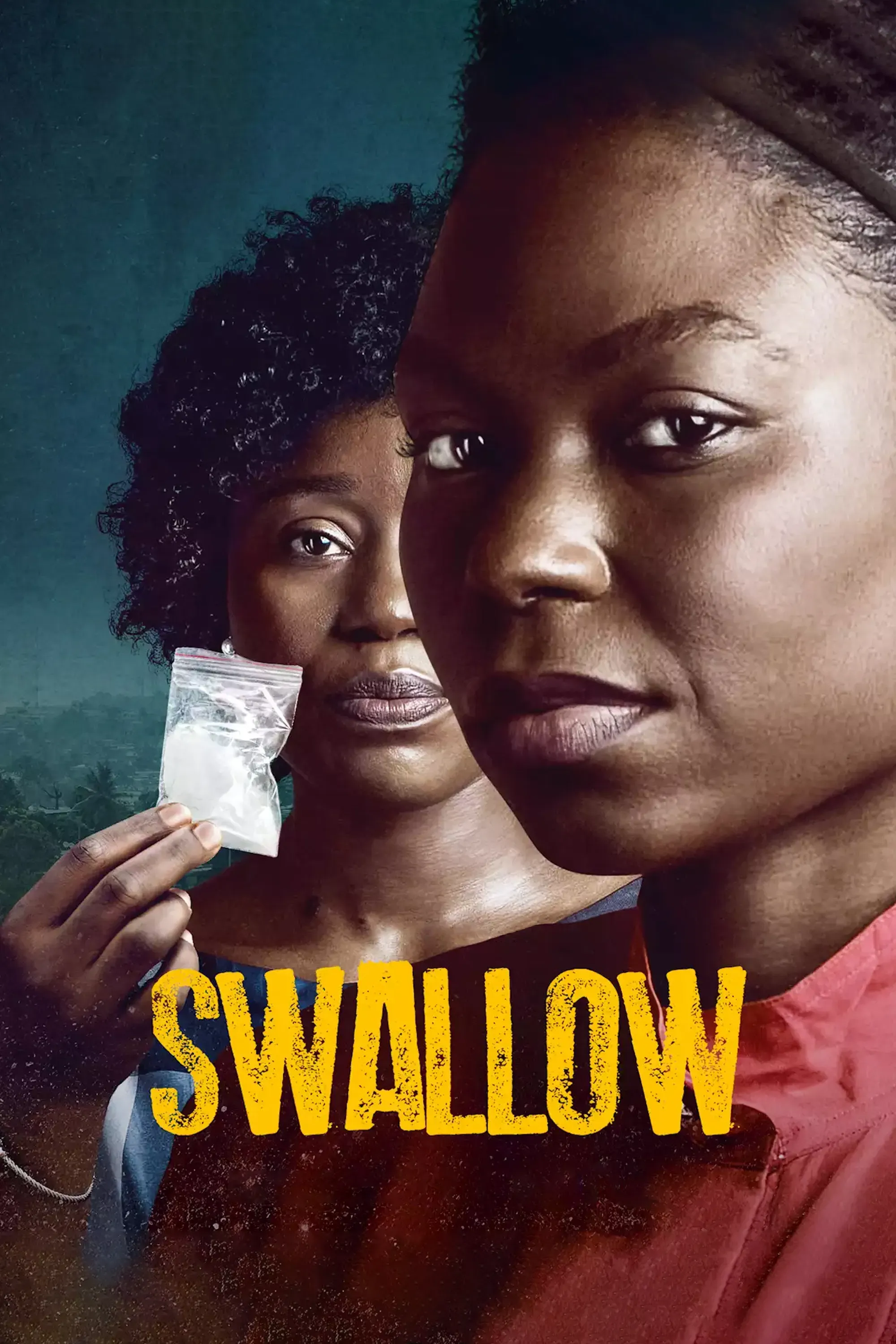 Poster of the movie Swallow