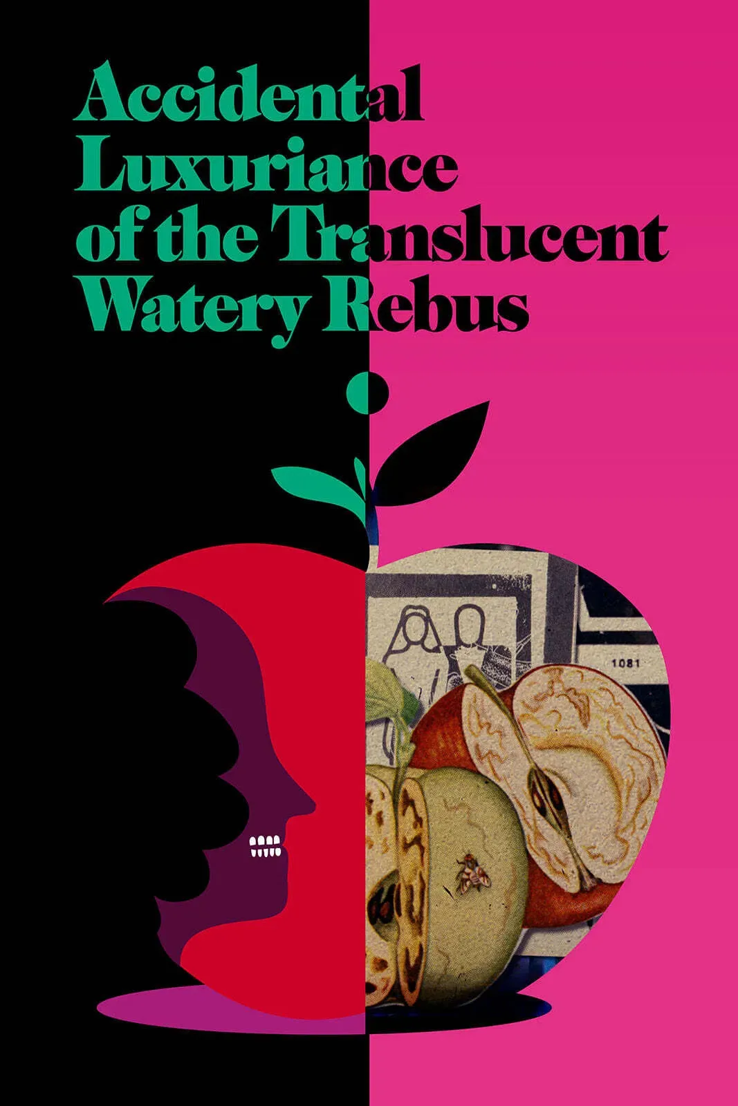 Poster of the movie Accidental Luxuriance of the Translucent Watery Rebus