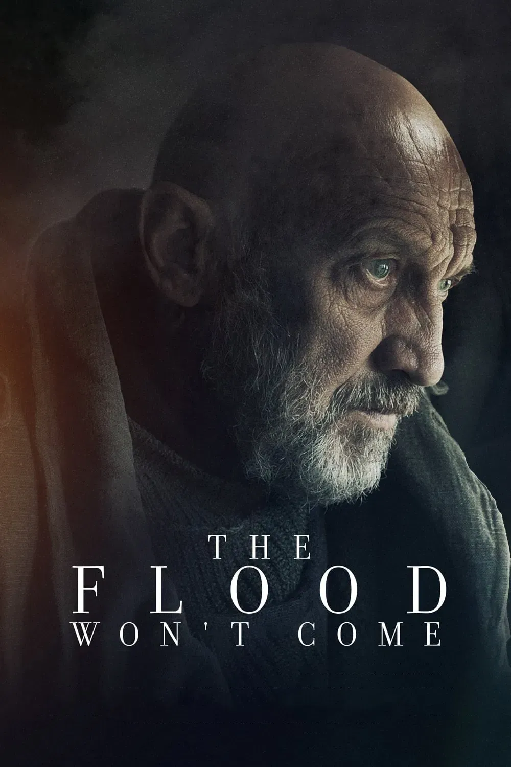 Poster of the movie The Flood Won’t Come