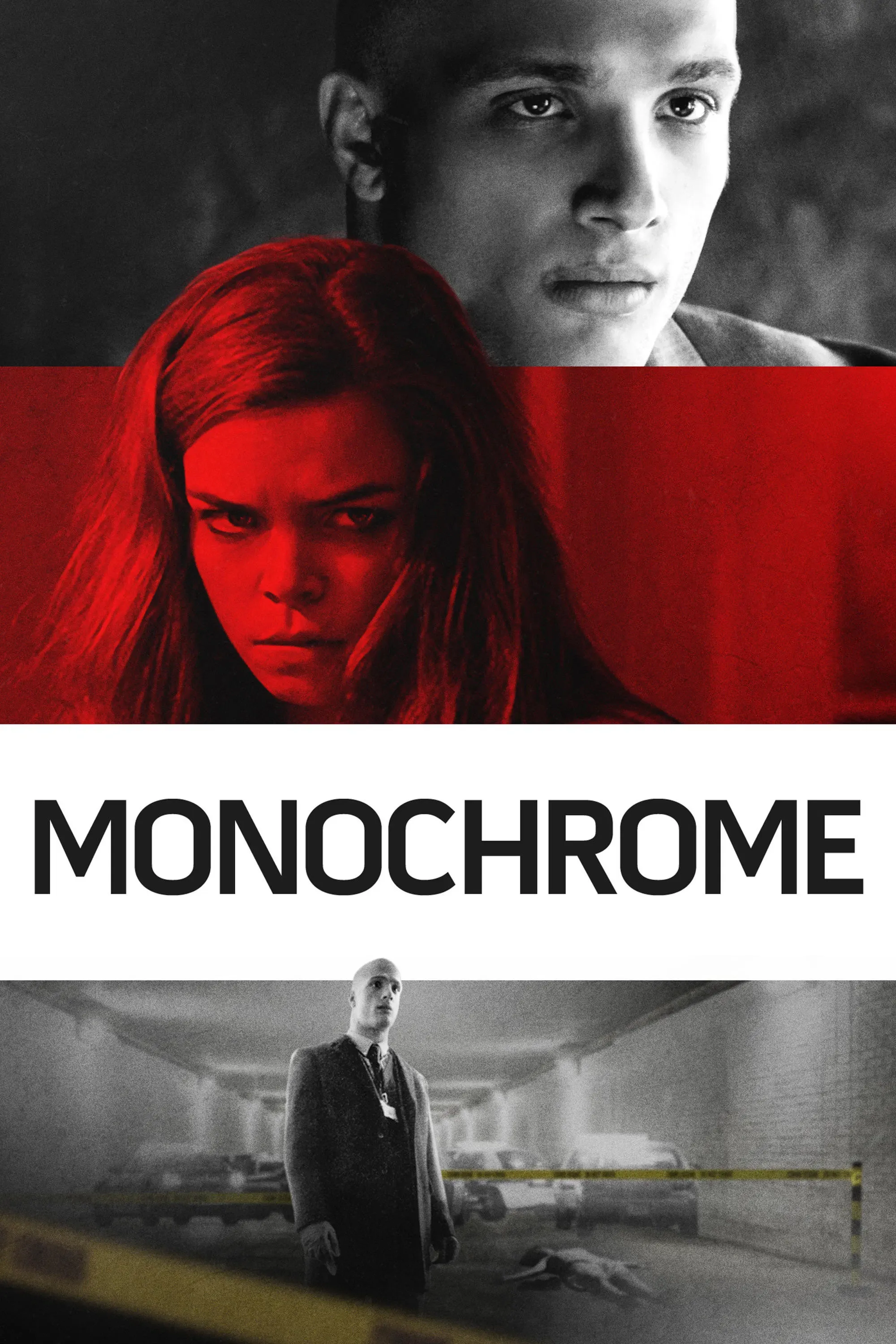 Poster of the movie Monochrome