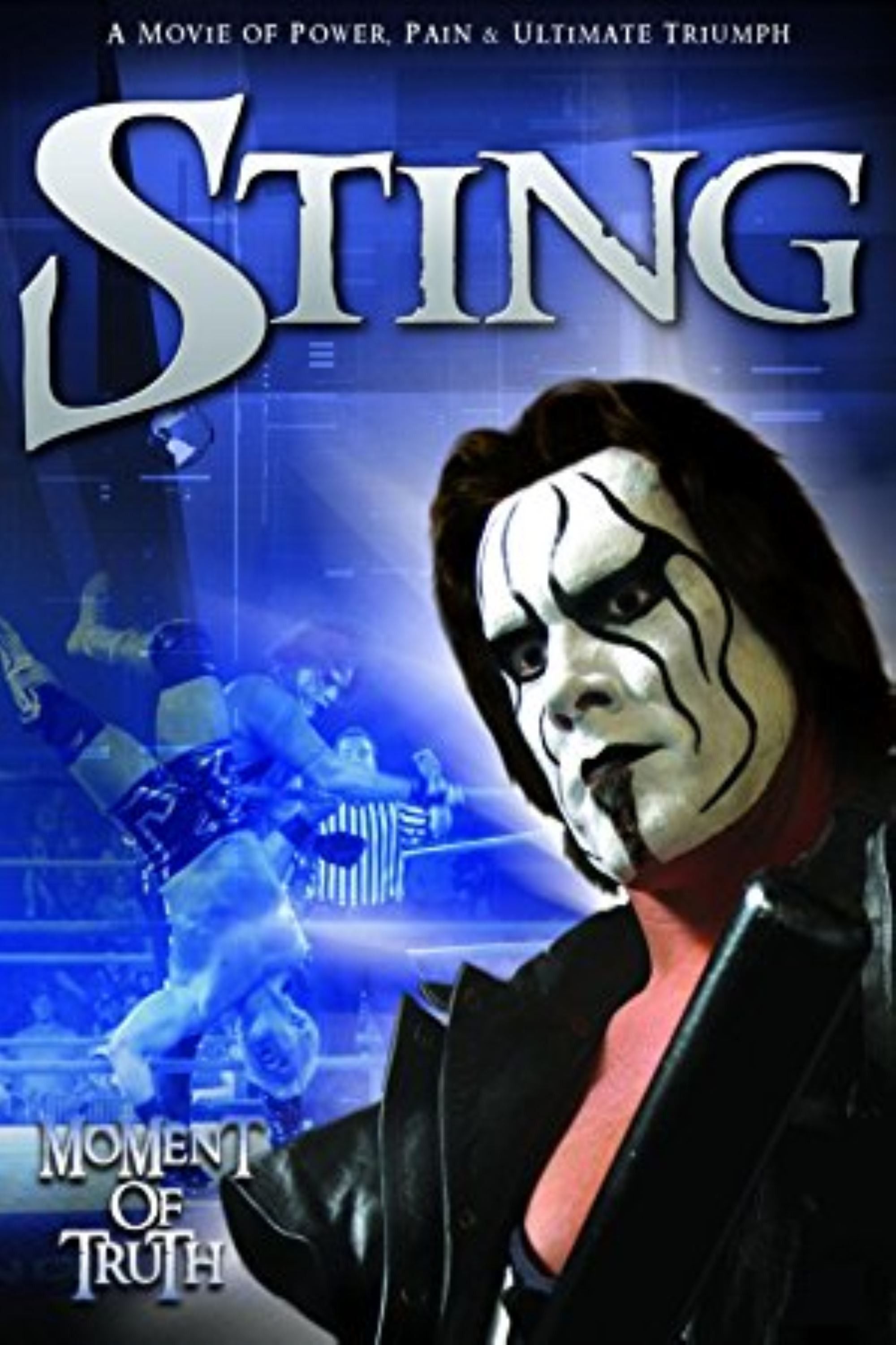 Poster of the movie Sting: Moment of Truth