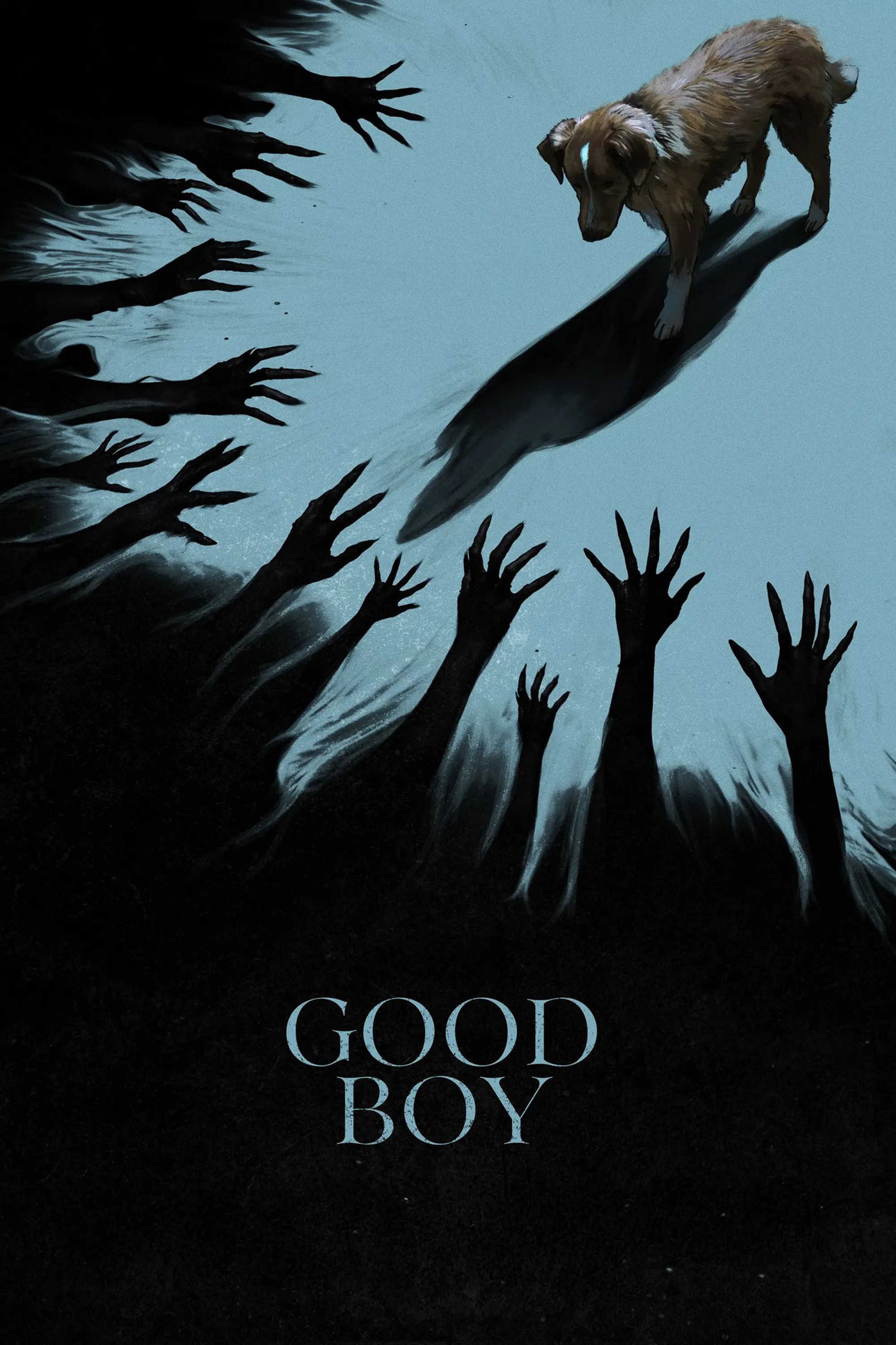 Poster of the movie Good Boy