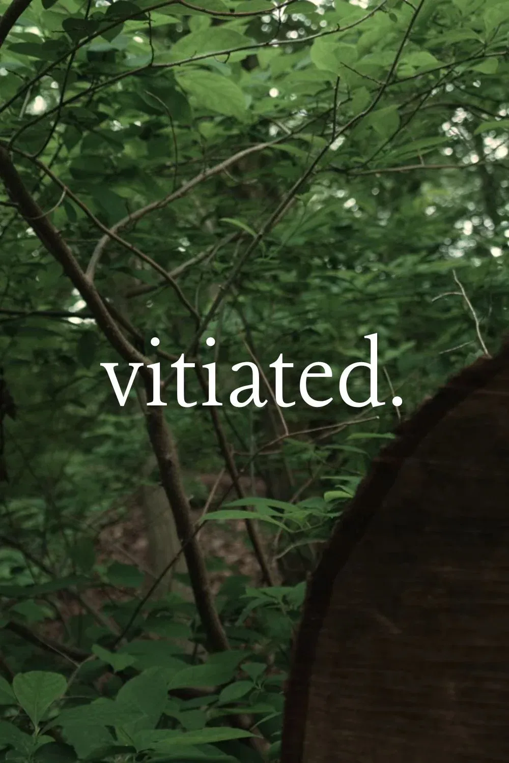 Poster for Vitiated