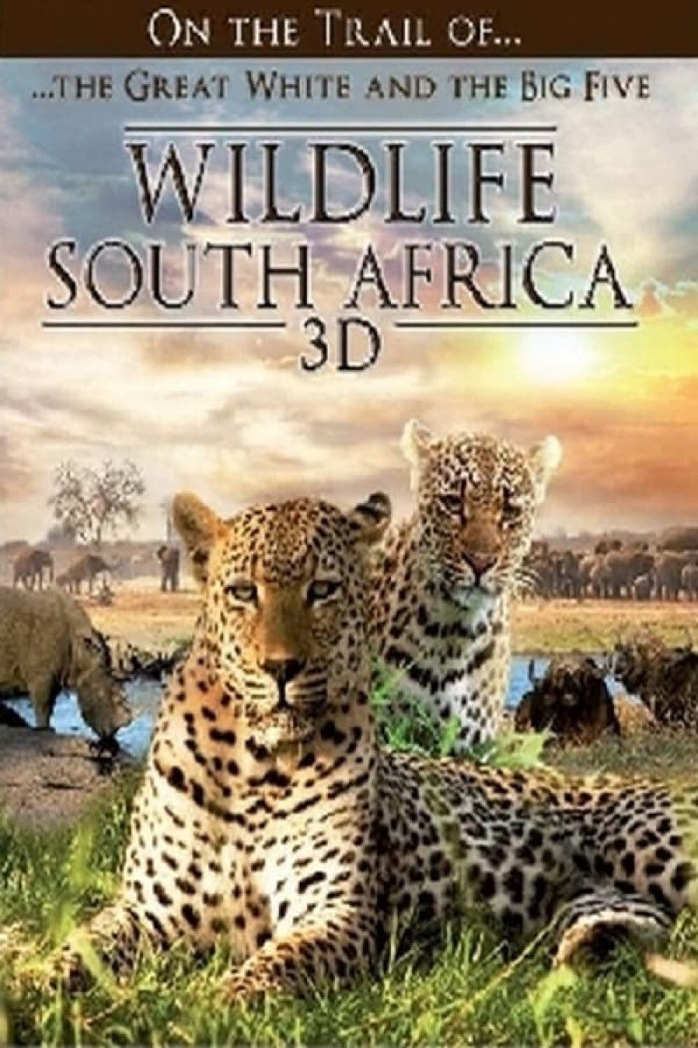 Poster of the movie Wildlife South Africa 3D