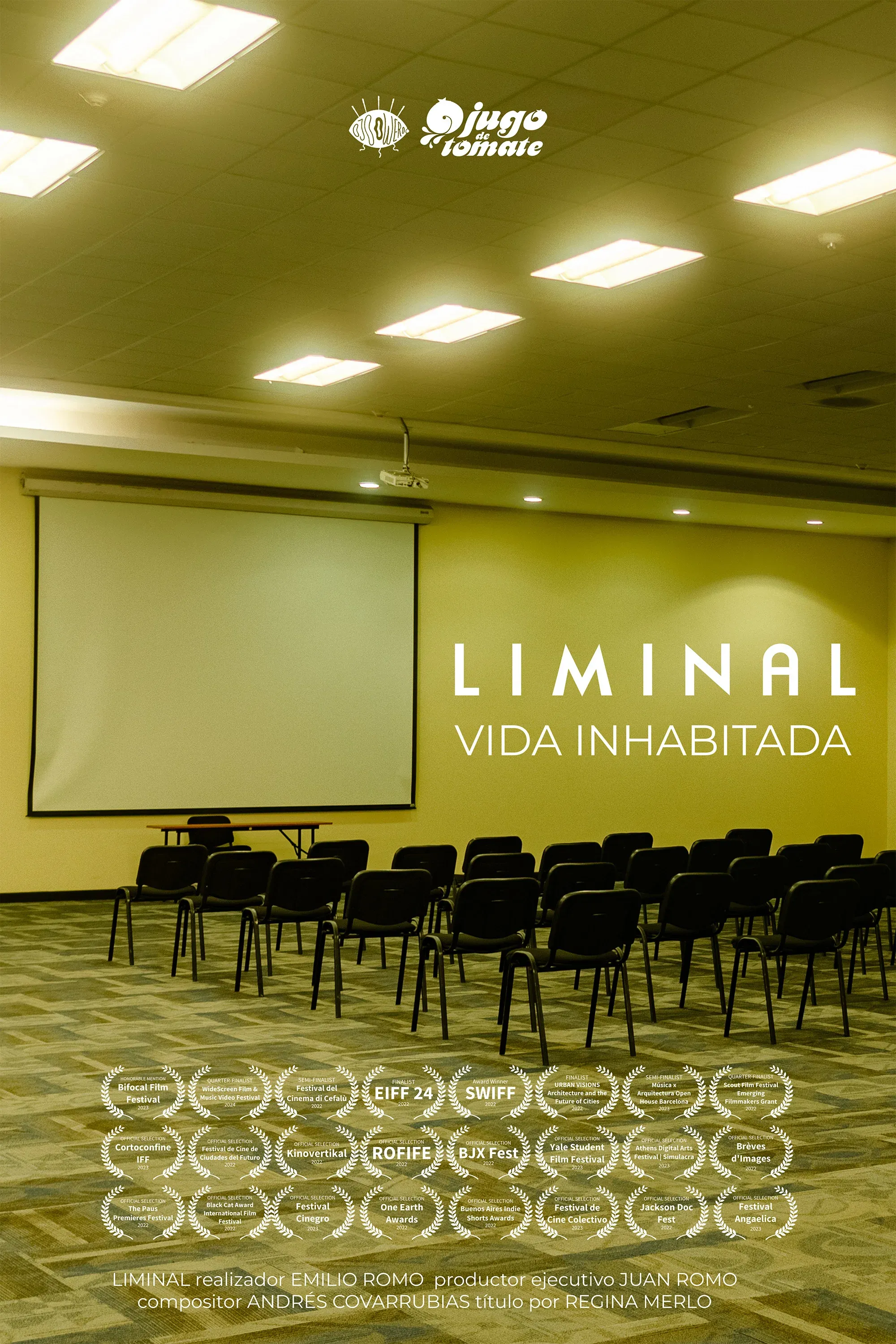 Poster for LIMINAL