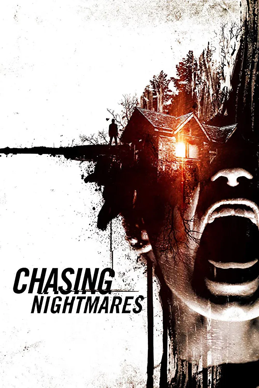 Poster for Chasing Nightmares