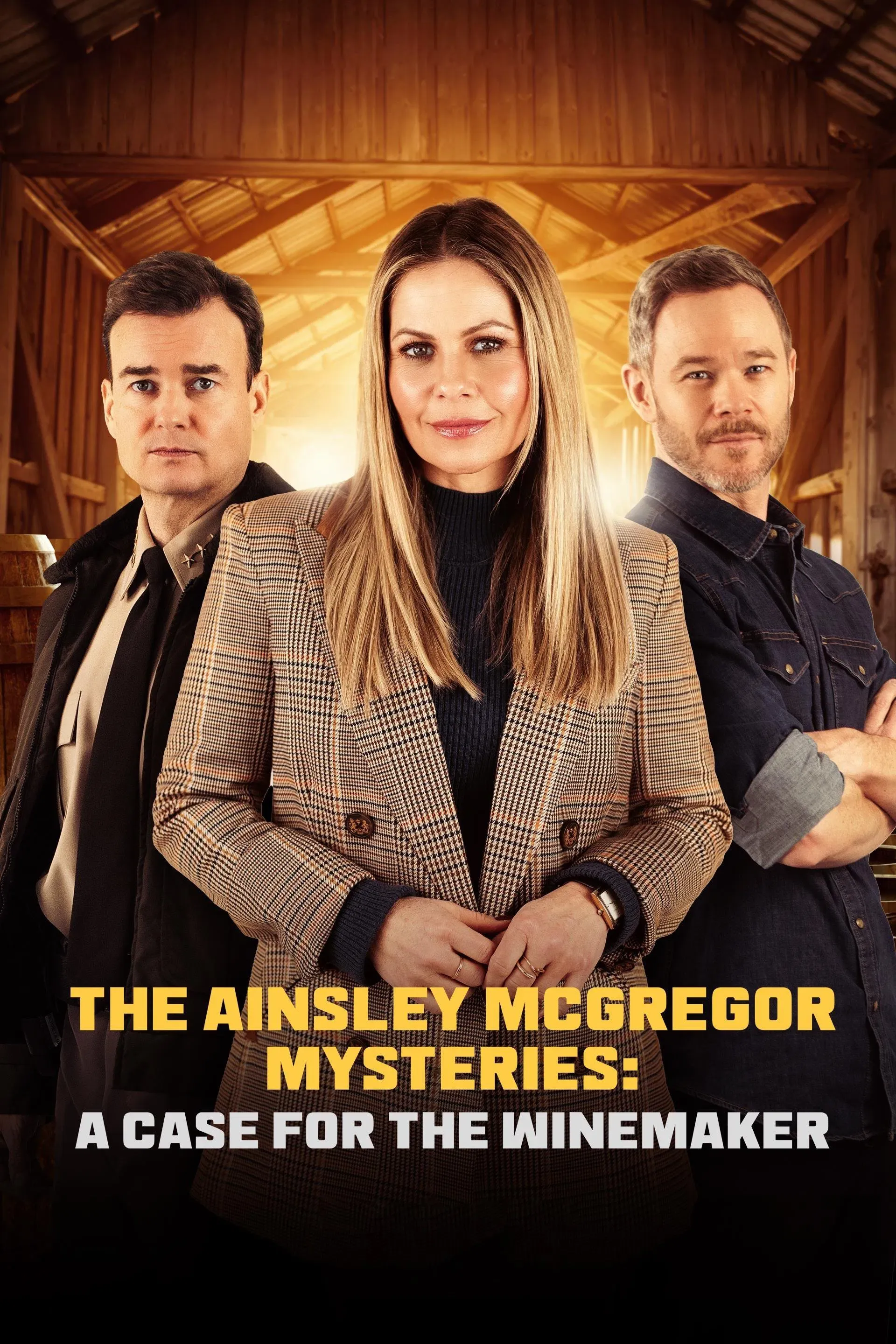 Poster for The Ainsley McGregor Mysteries: A Case for the Winemaker