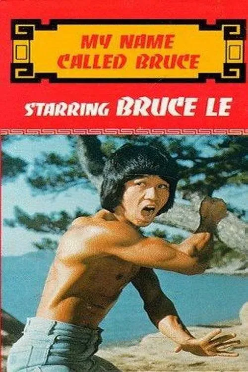 Poster of the movie My Name Called Bruce