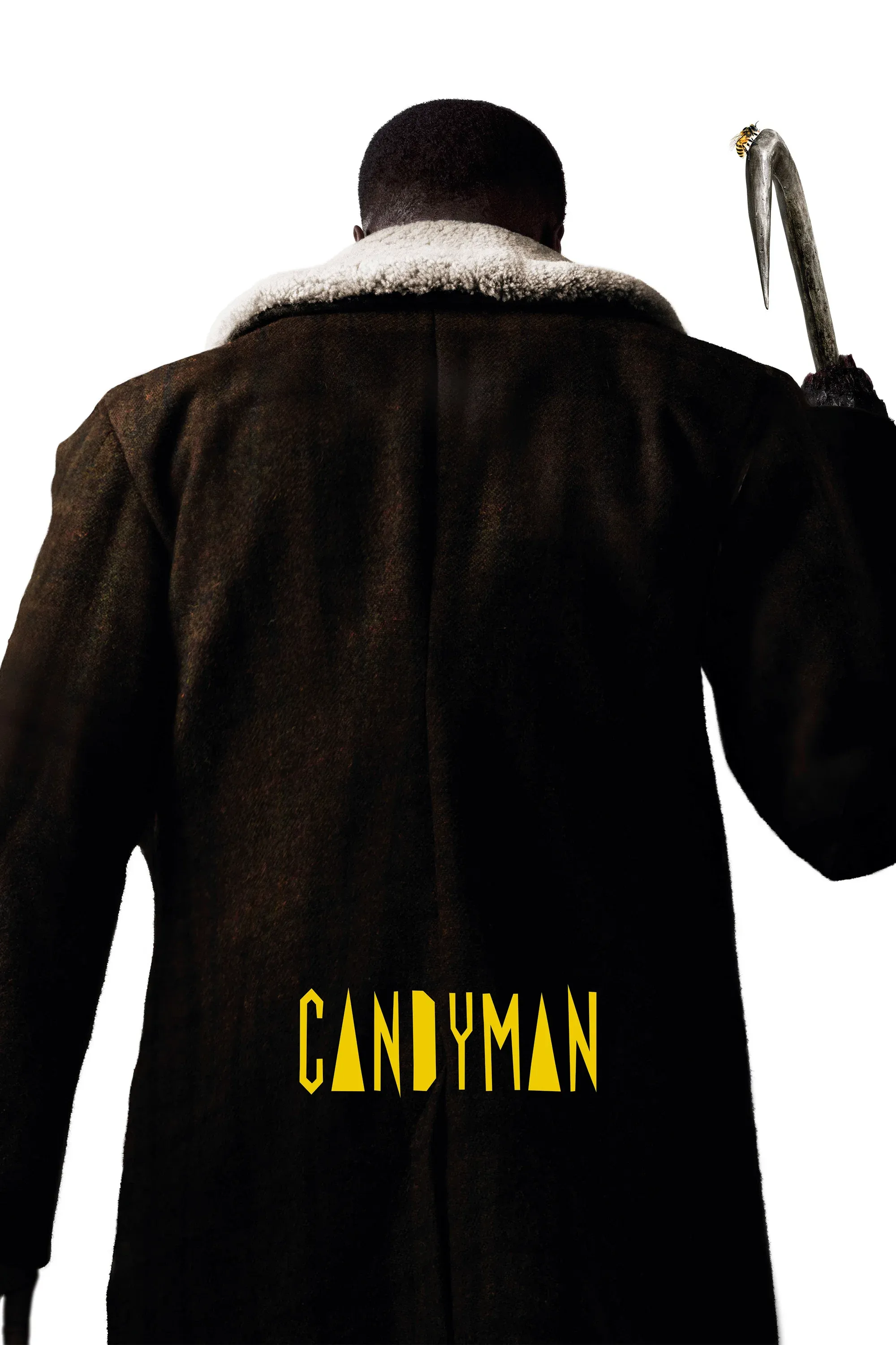 Poster of the movie Candyman