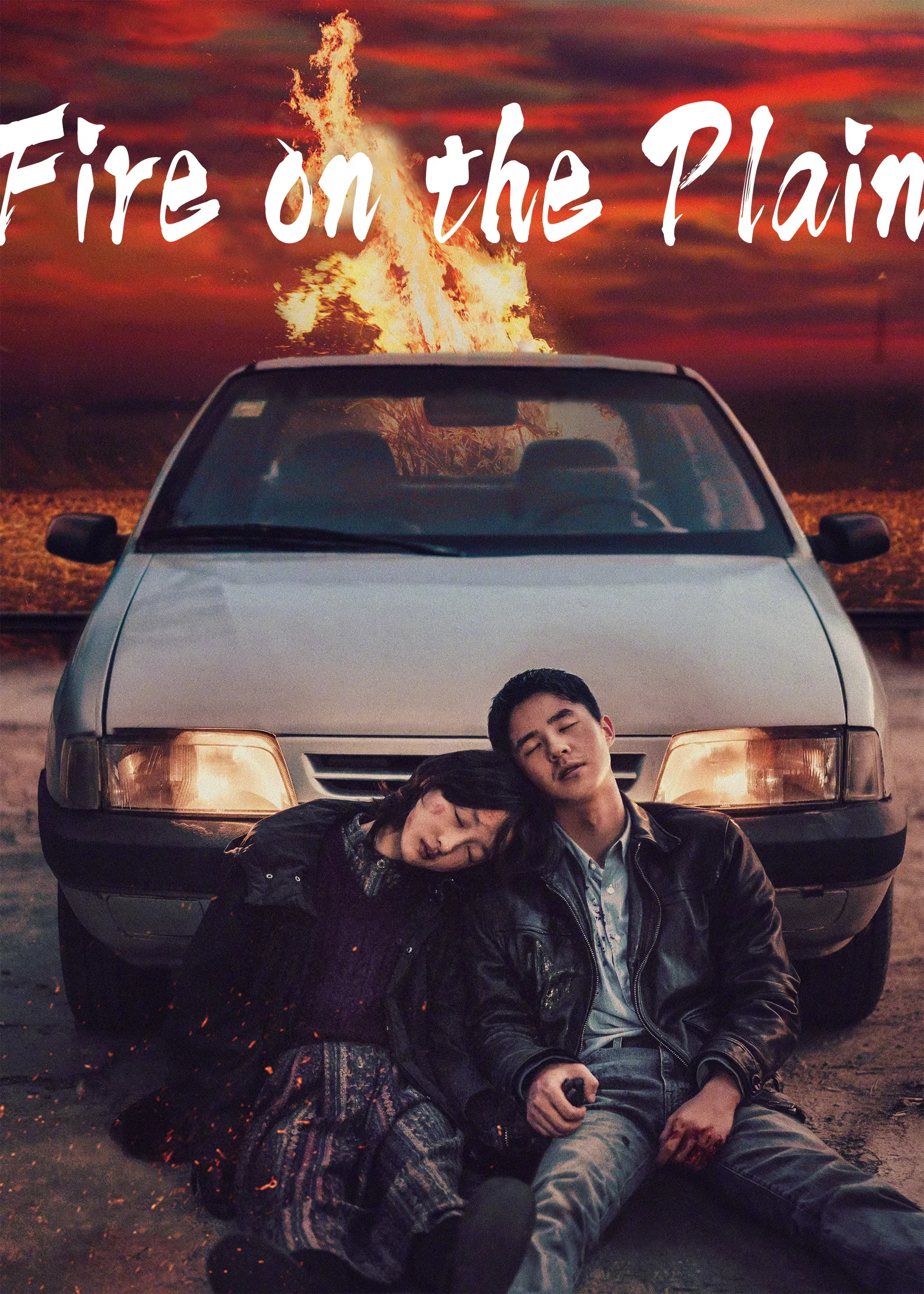 Poster of the movie Fire on the Plain