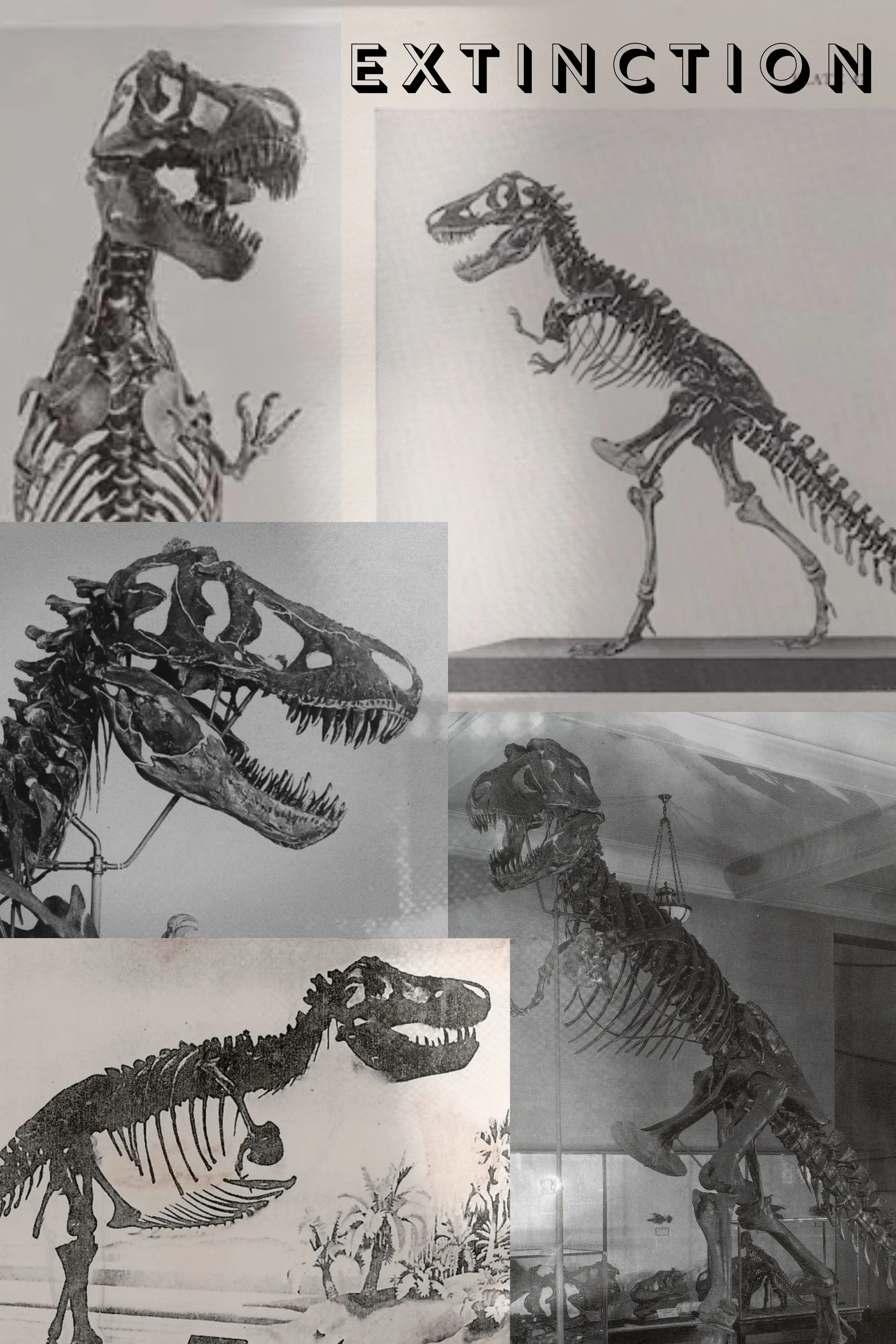 Poster for Extinction