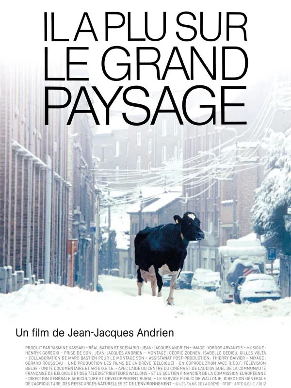 Poster of the movie Il a plu sur le grand paysage