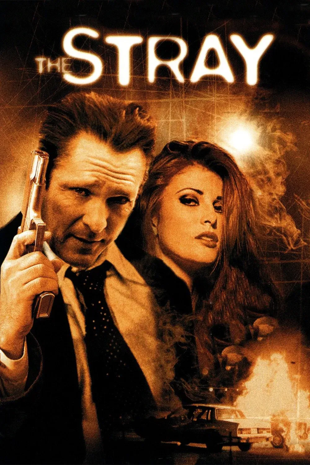 Poster of the movie The Stray