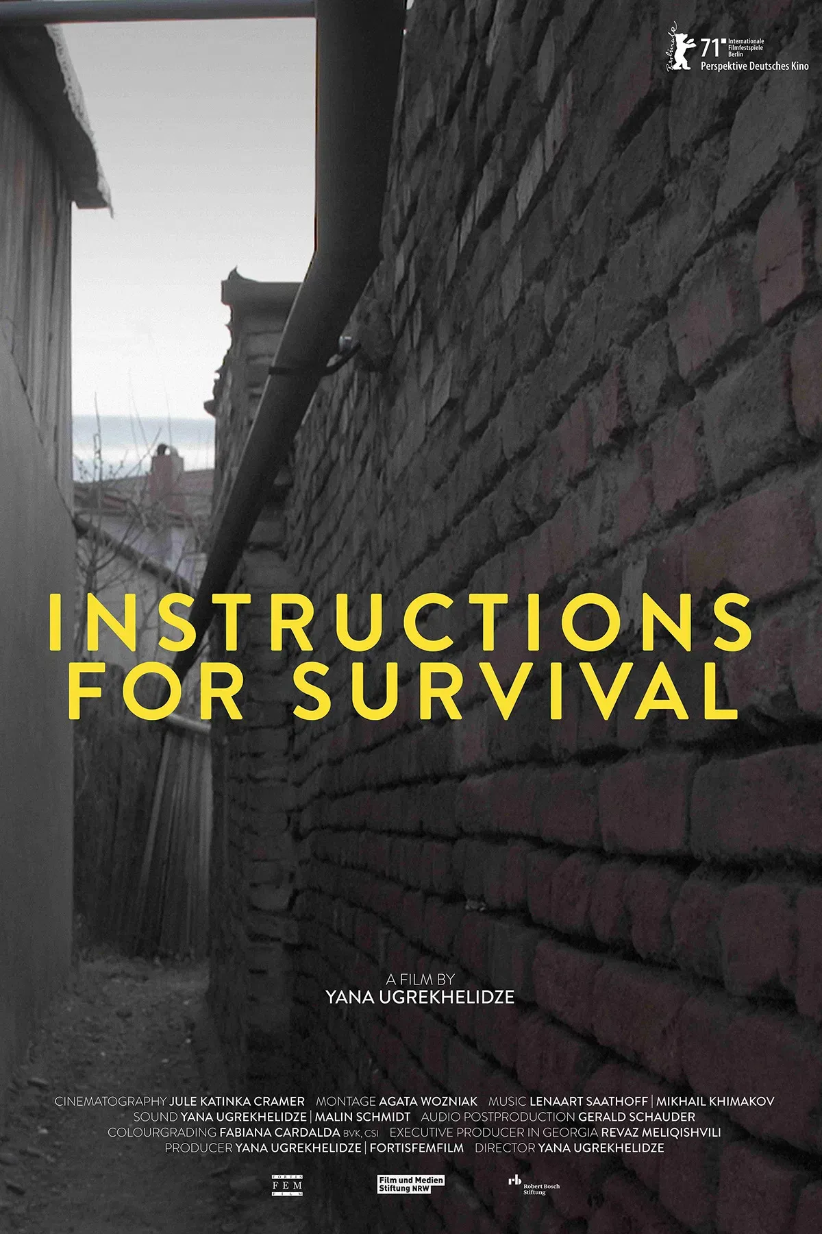 Poster of the movie Instructions for Survival