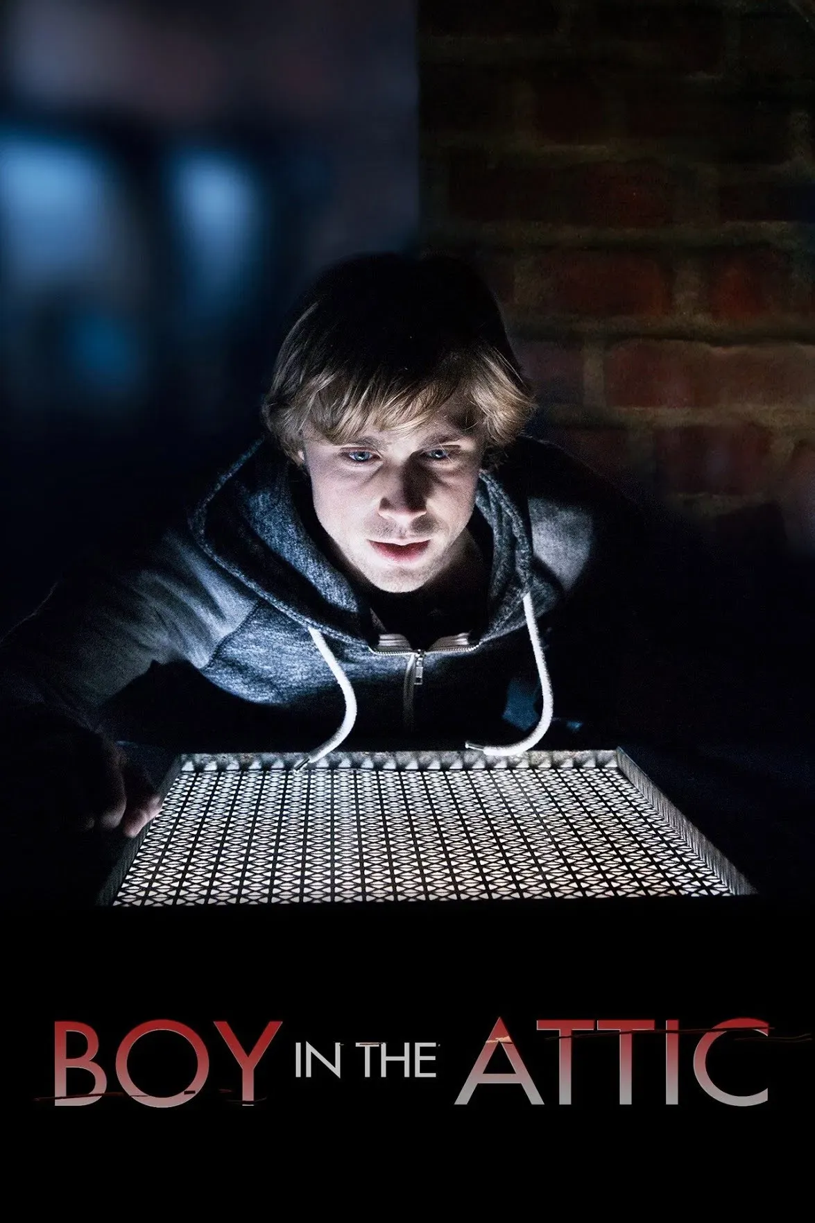 Poster of the movie Secrets in the Attic