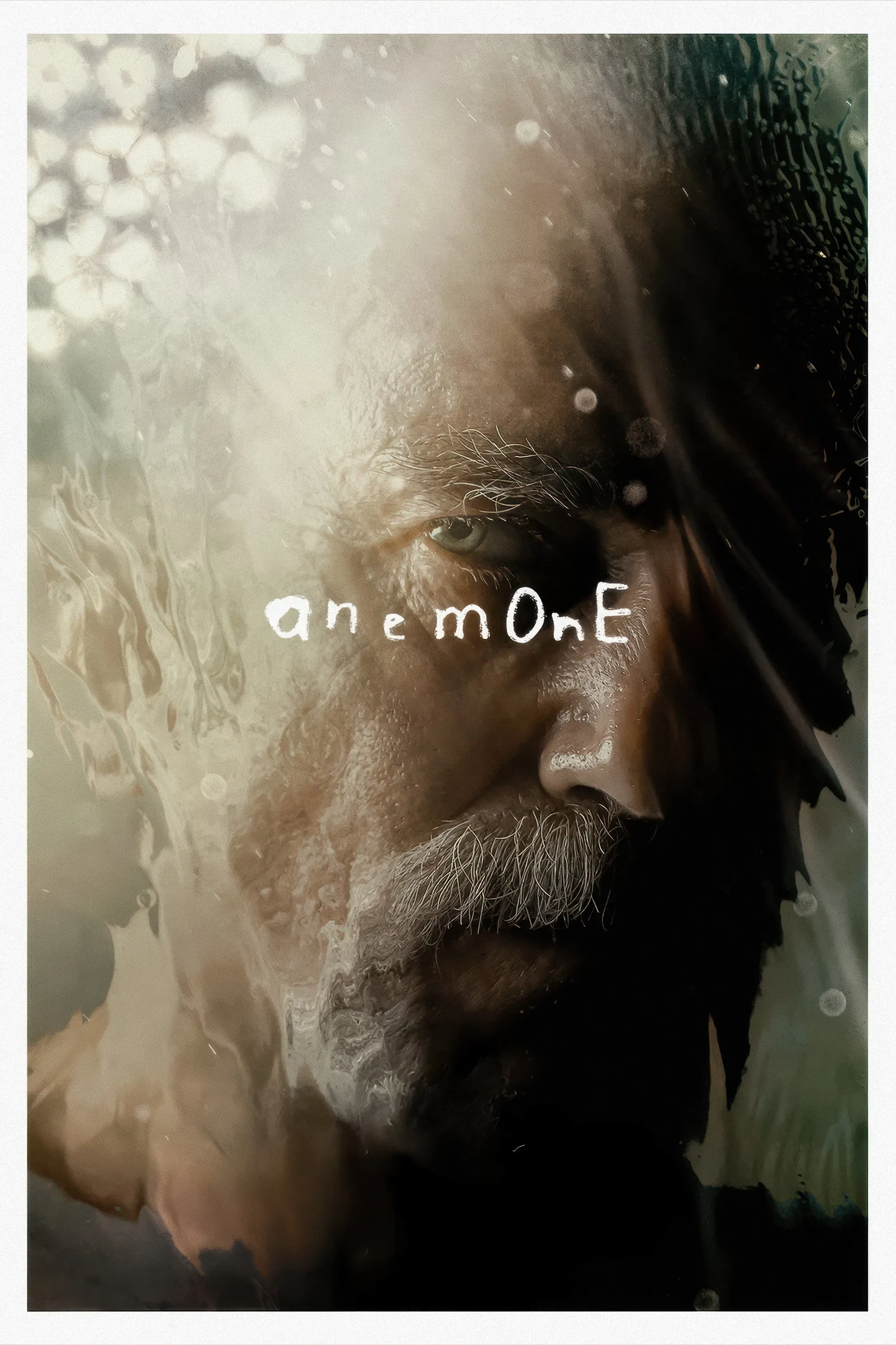 Poster of the movie Anemone