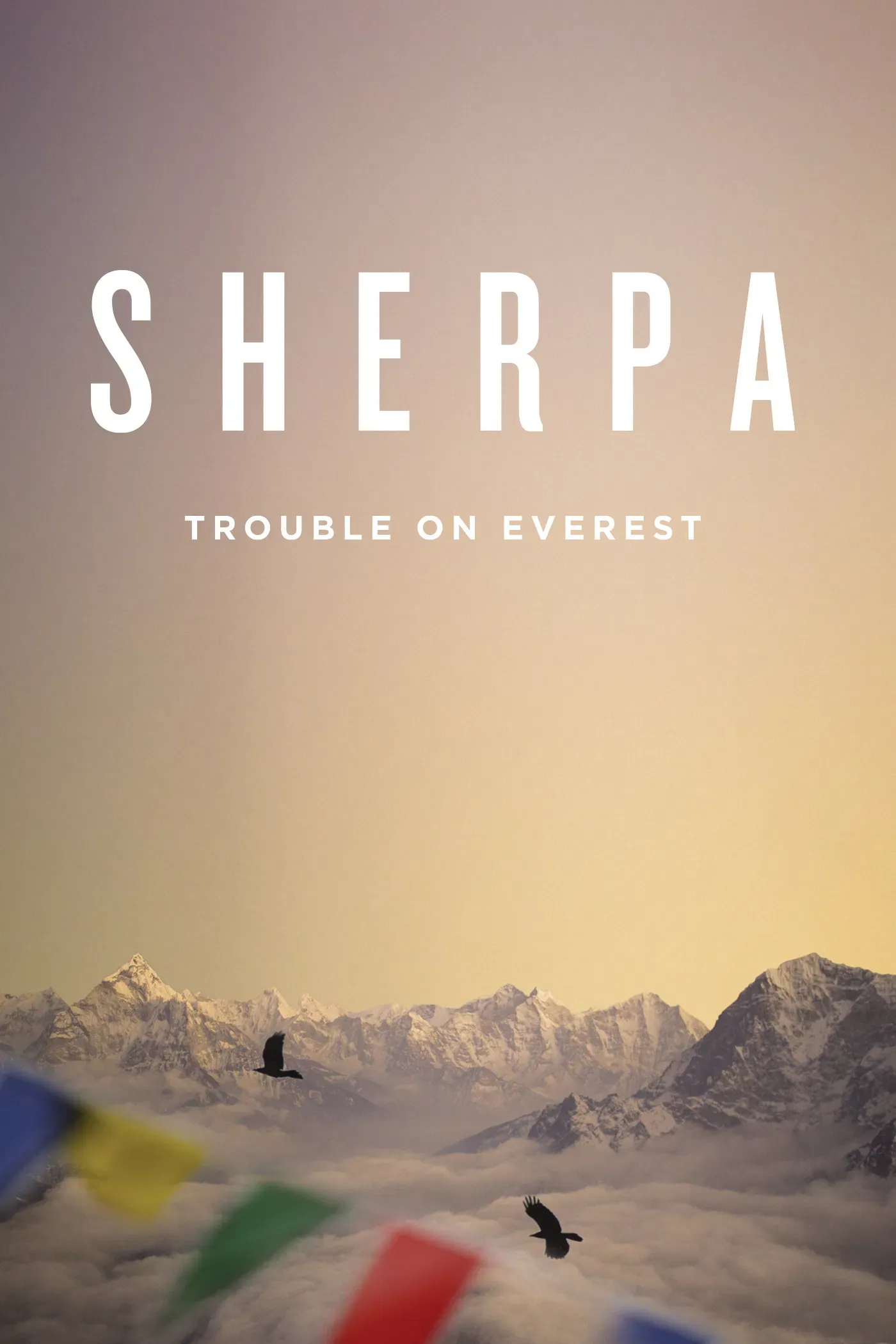 Poster of the movie Sherpa