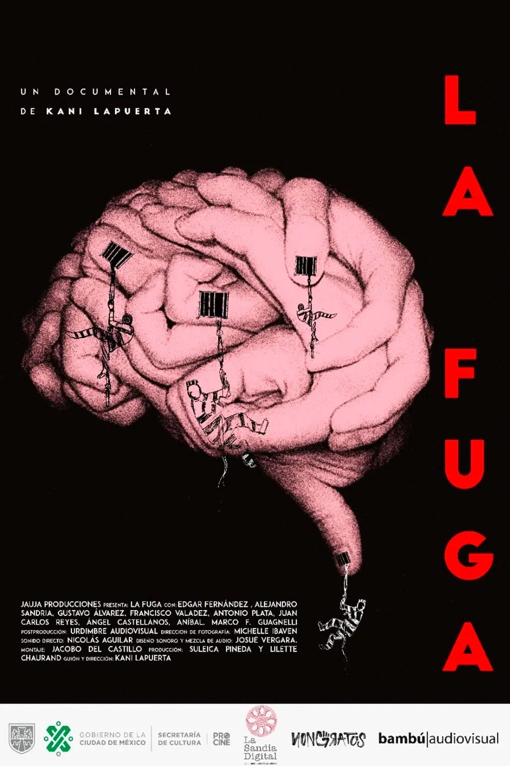 Poster for La fuga