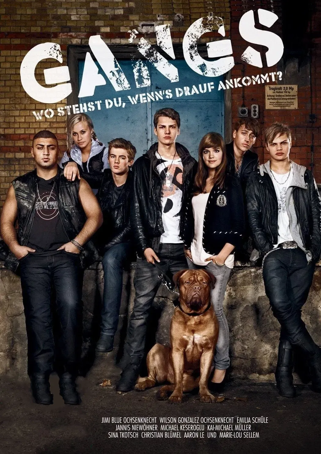 Poster of the movie Gangs