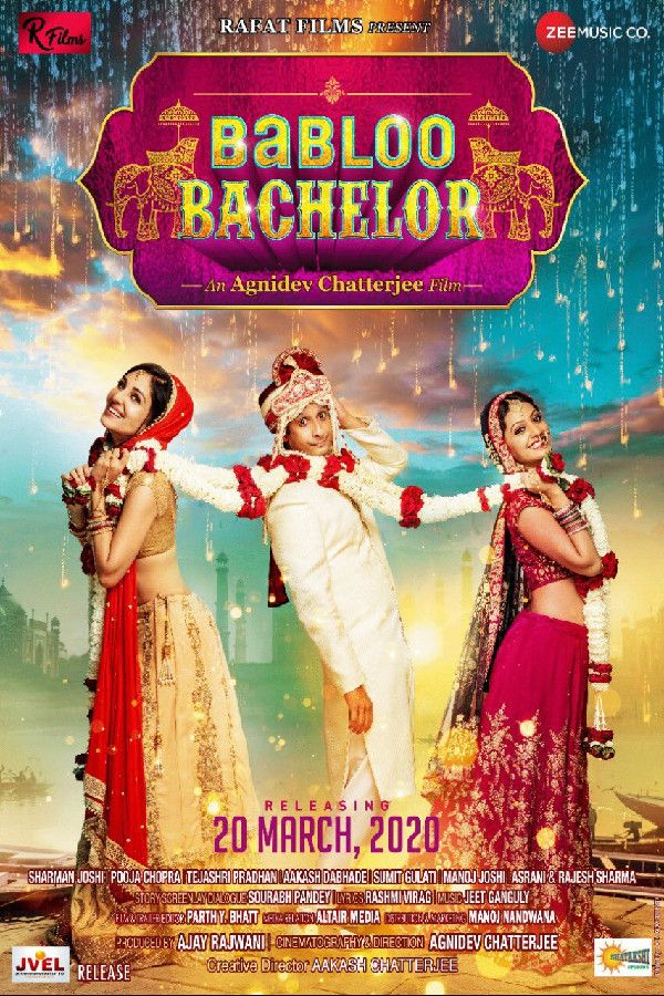Poster of the movie Babloo Bachelor