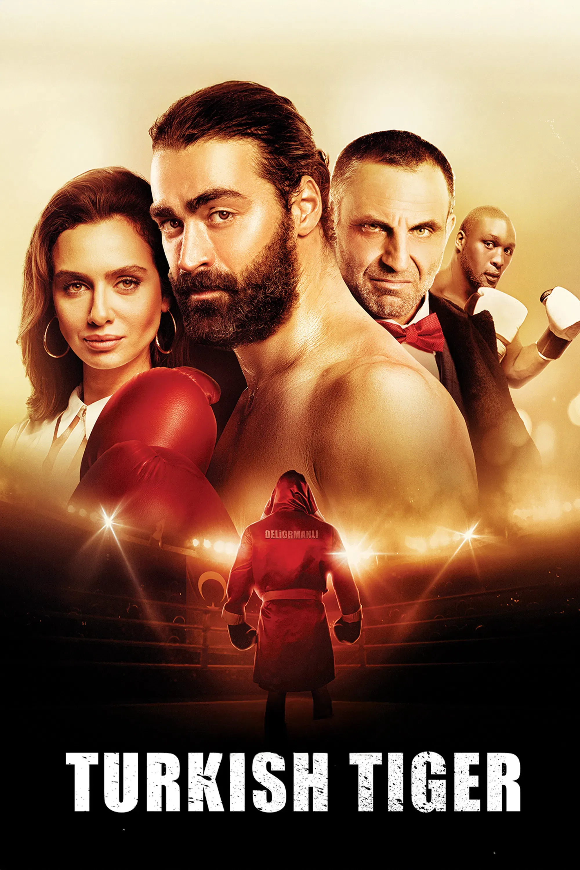 Poster of the movie Turkish Tiger