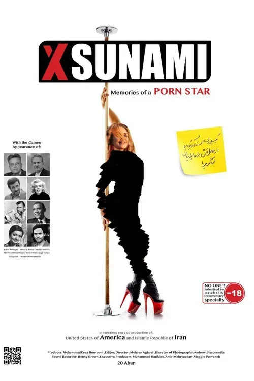 Poster of the movie XSunami