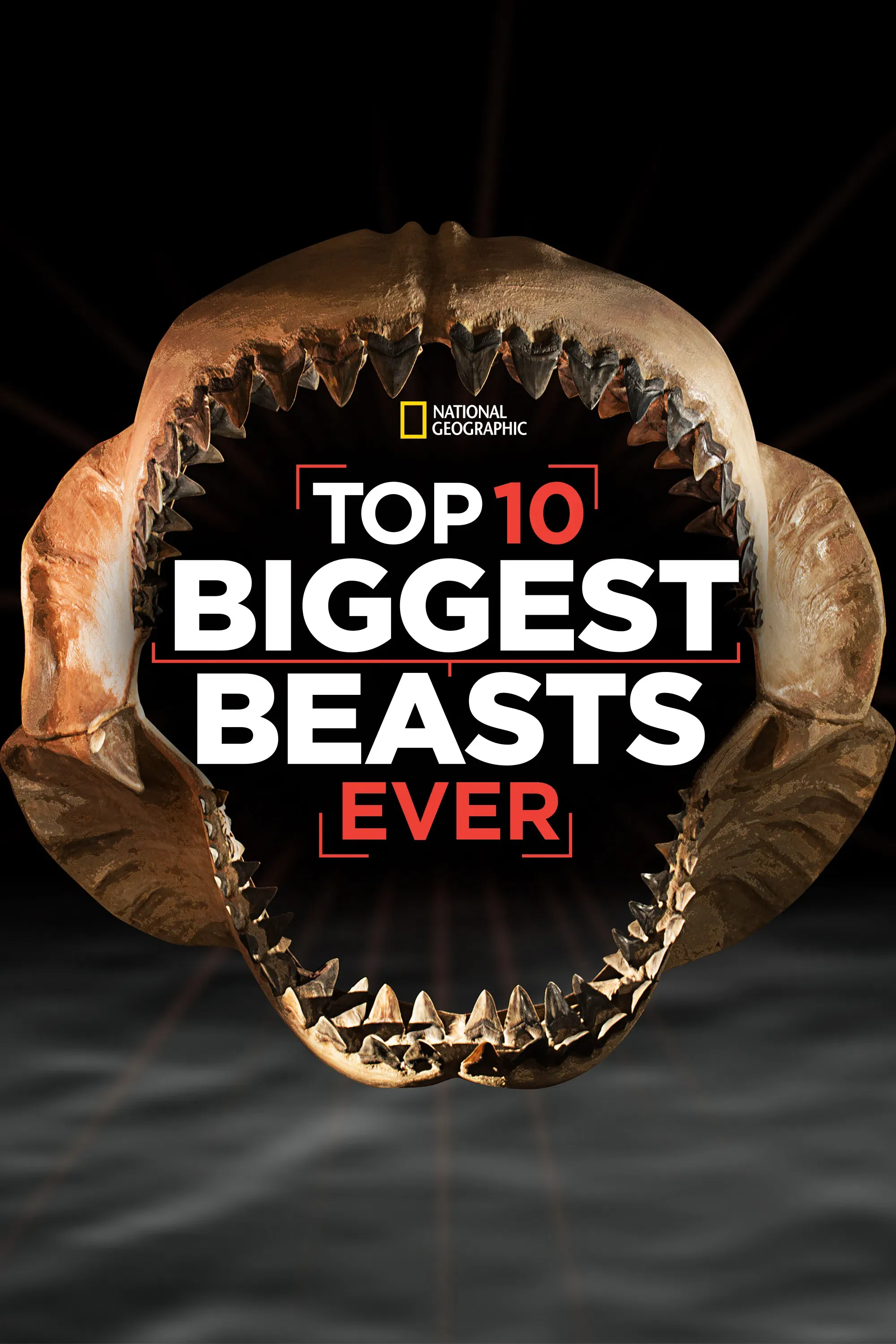 Poster of the movie Top 10 Biggest Beasts Ever