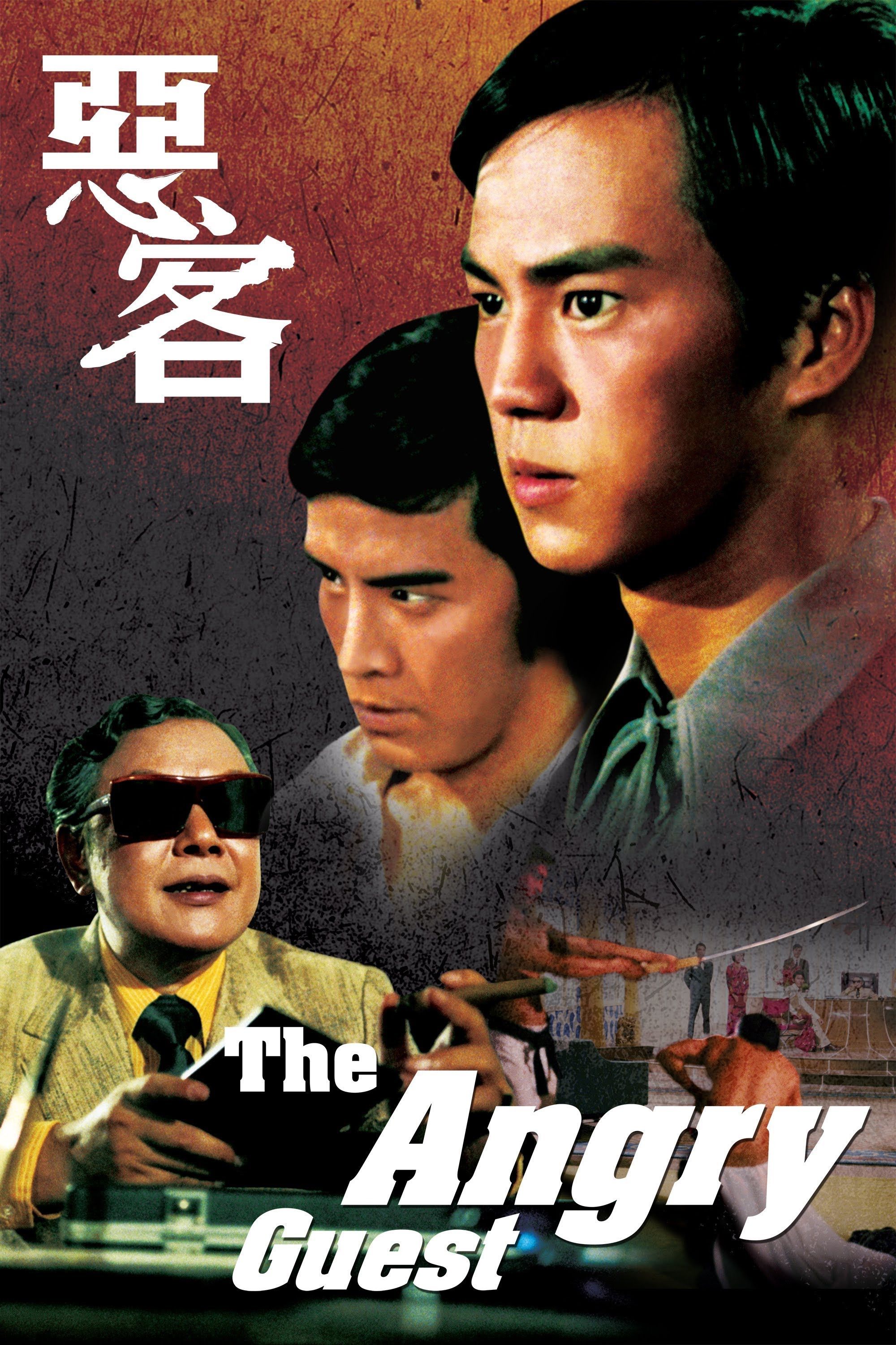 Poster of the movie The Angry Guest