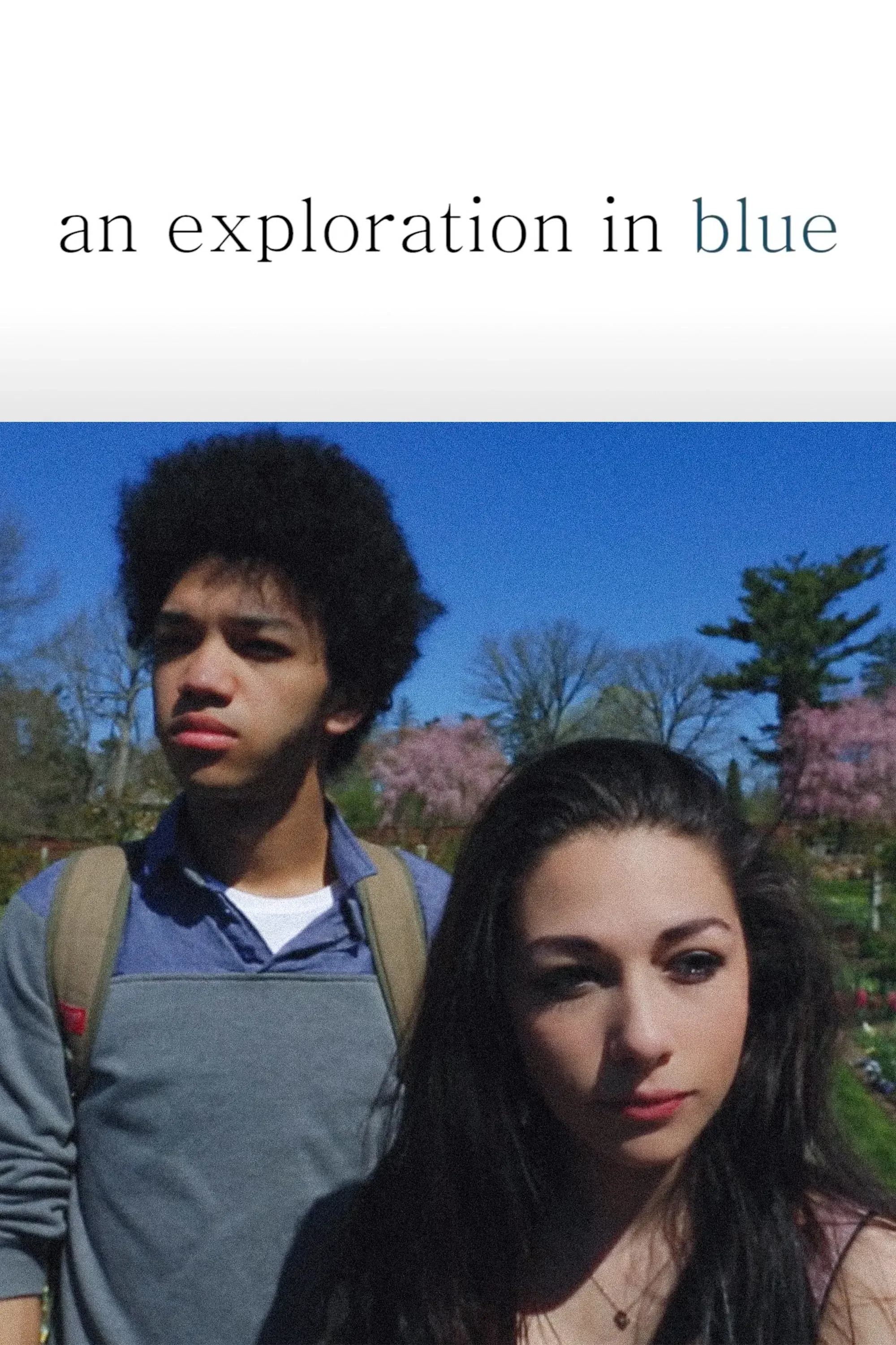 Poster of the movie An Exploration in Blue