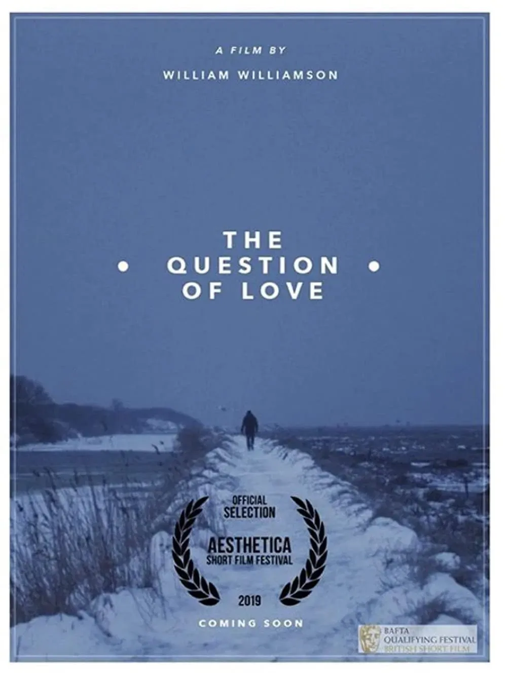 Poster of the movie The Question of Love
