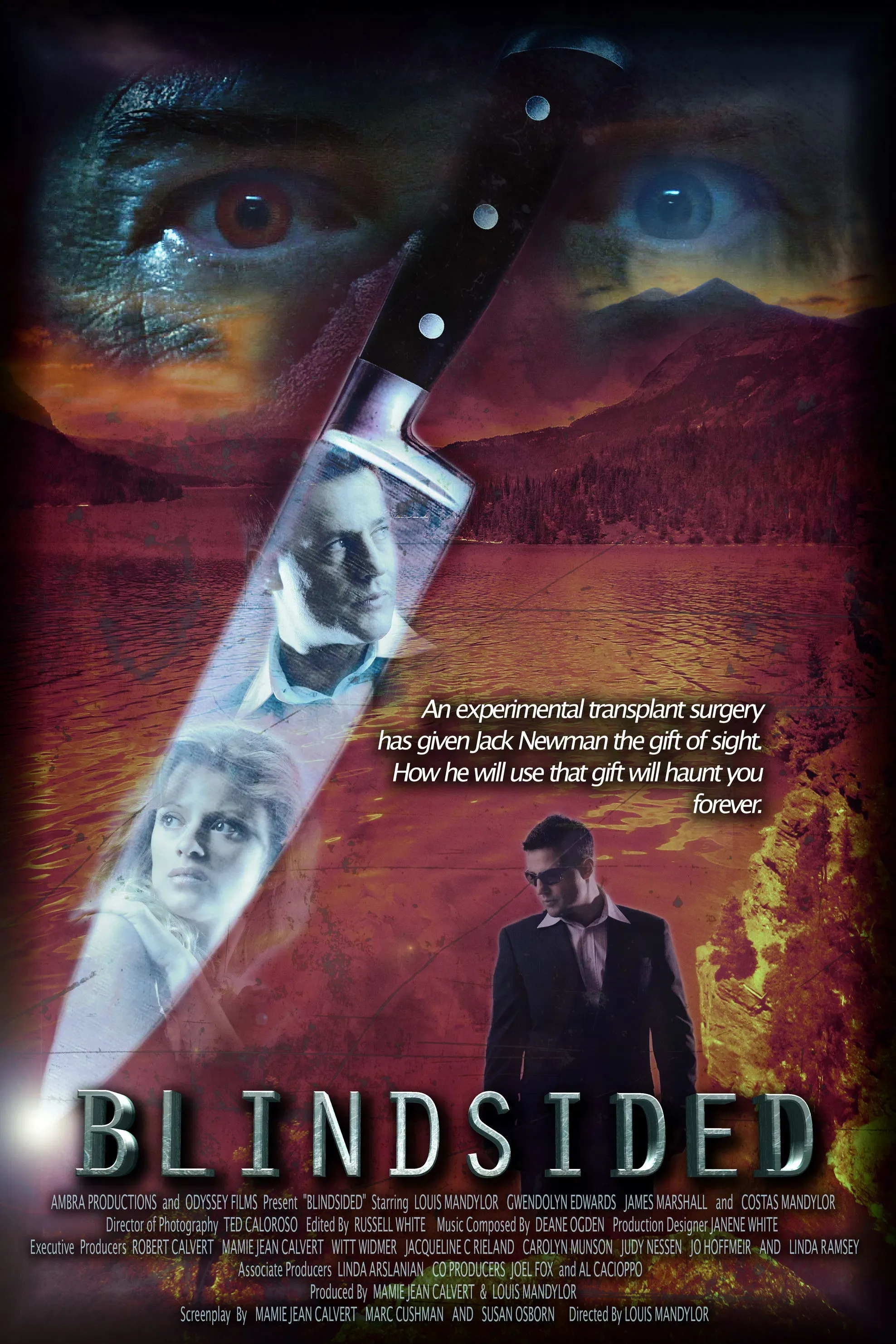 Poster of the movie Blindsided