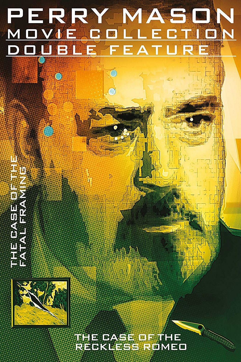 Poster of the movie Perry Mason: The Case of the Fatal Framing