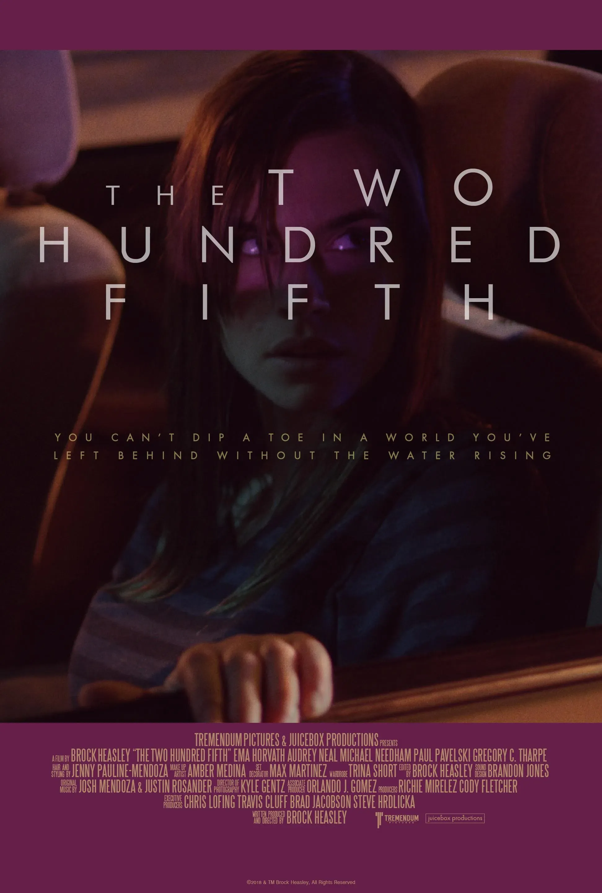 Poster of the movie The Two Hundred Fifth