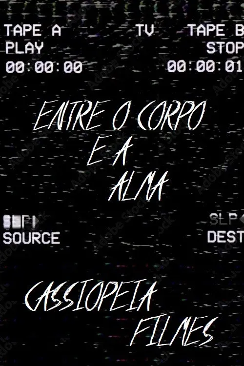 Poster for The last VHS