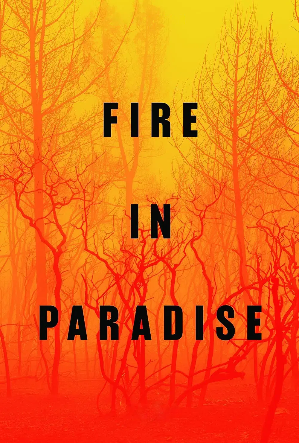 Poster of the movie Fire in Paradise