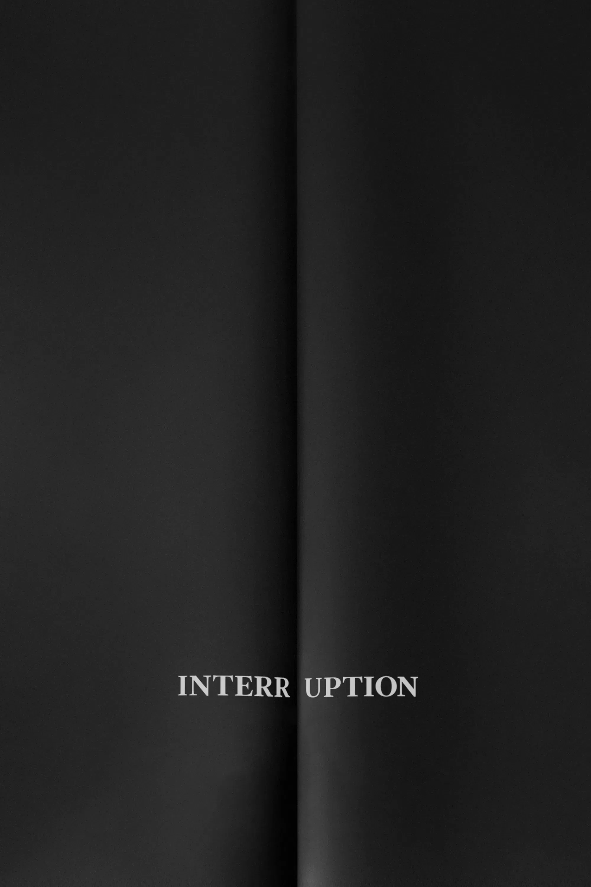 Poster of the movie Interruption