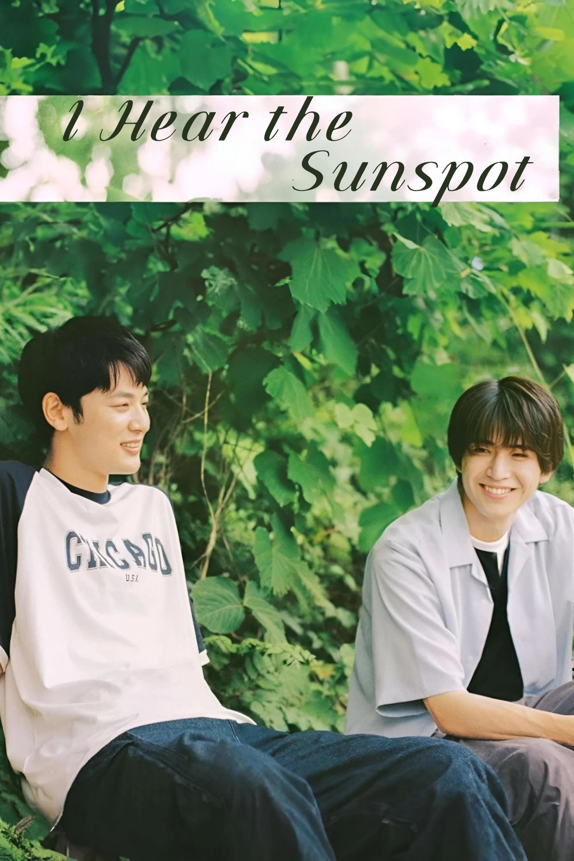 Poster of I Hear the Sunspot