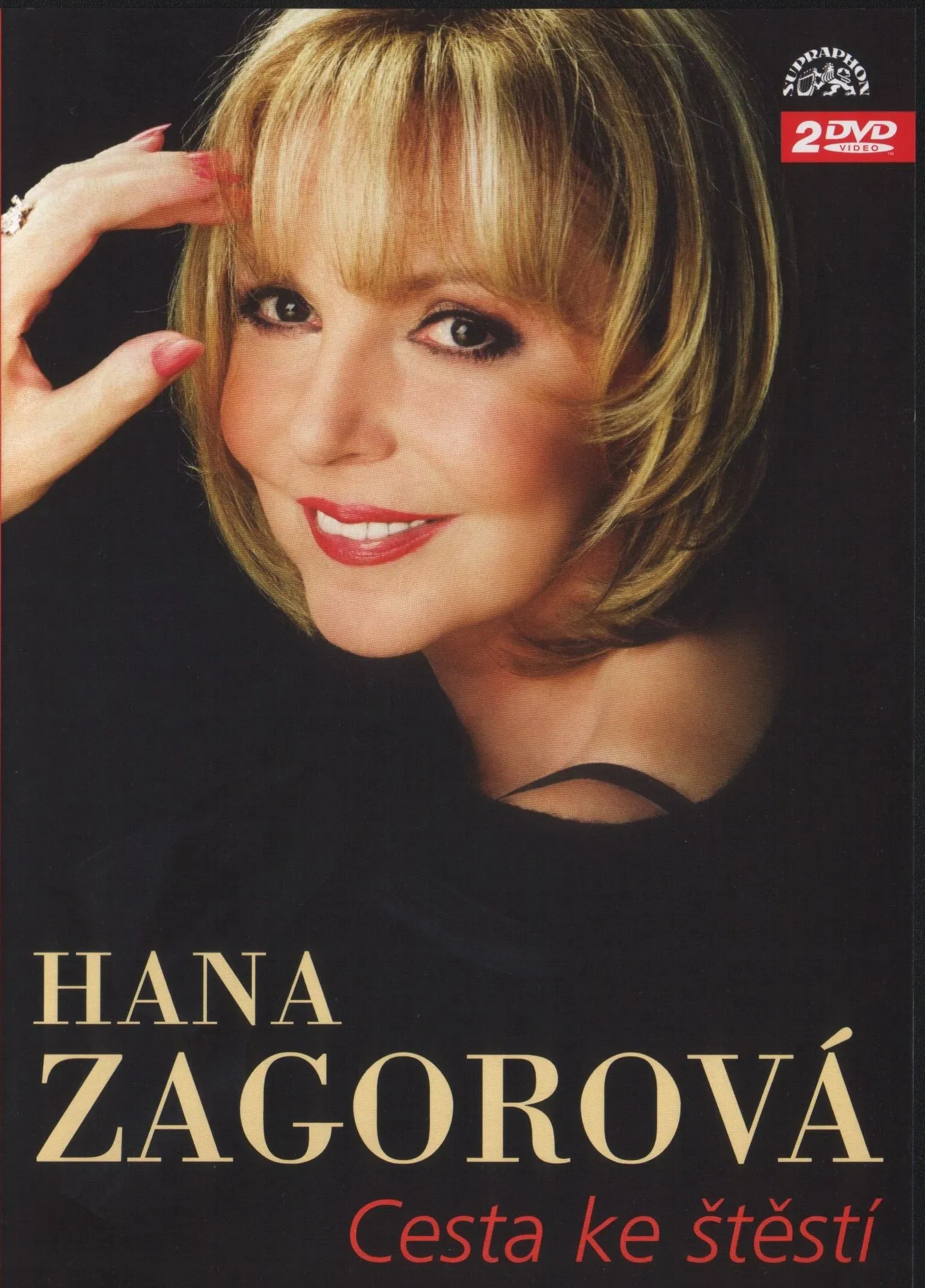 Poster of the movie Cesta ke štěstí