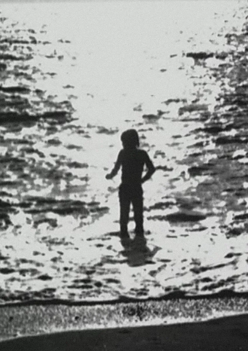 Poster of the movie Mouches Volantes