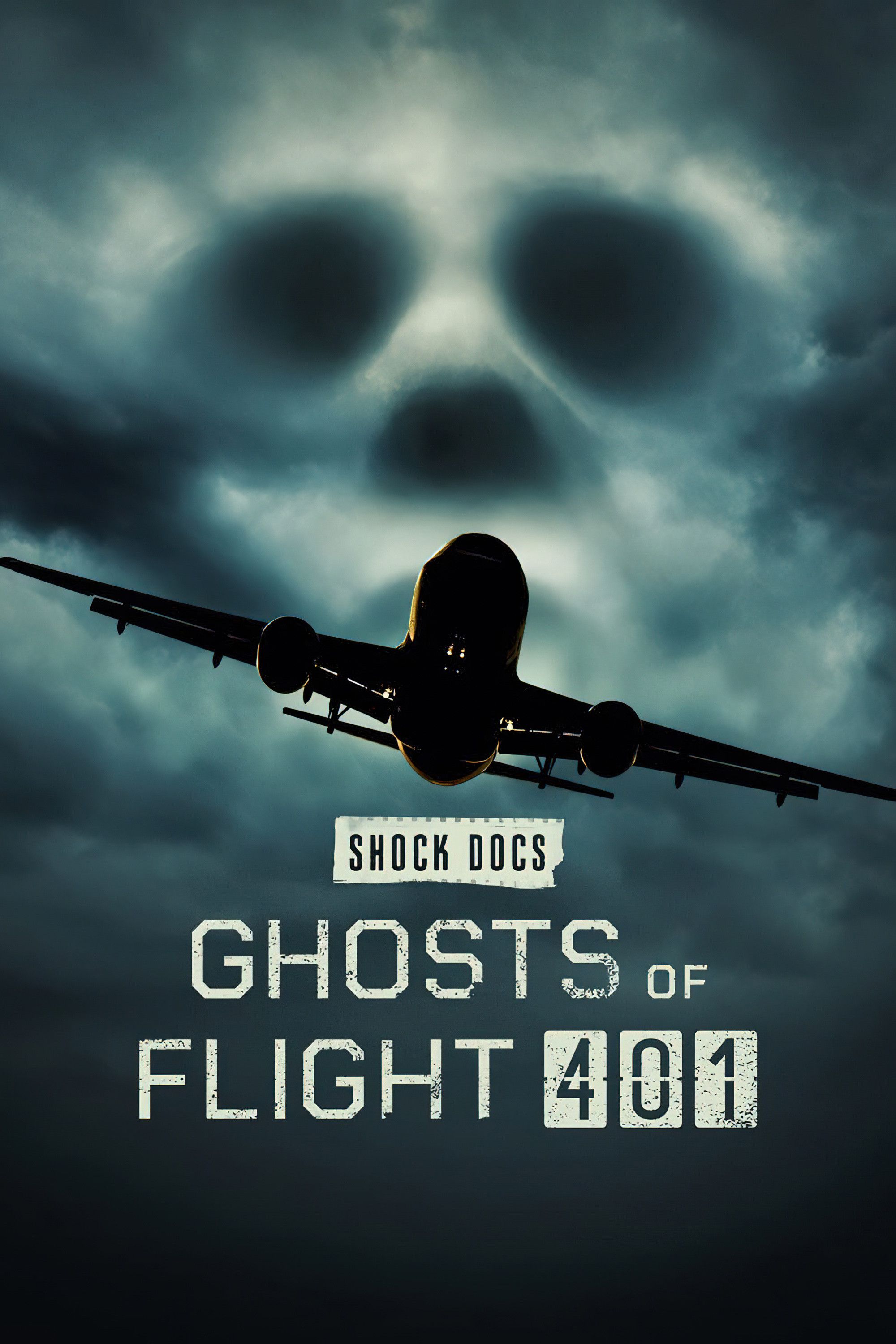 Poster of the movie Ghosts of Flight 401