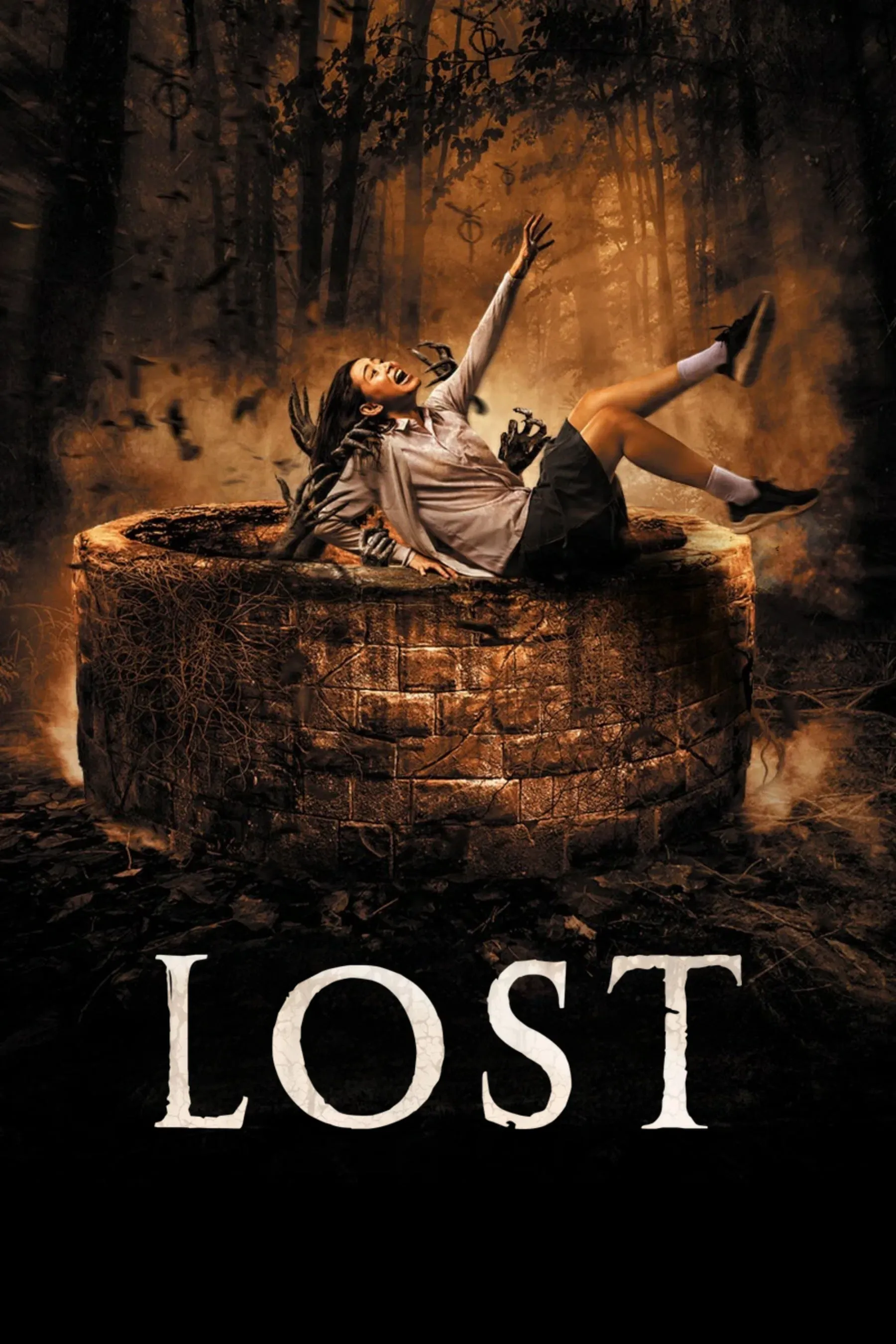 Poster of the movie Lost