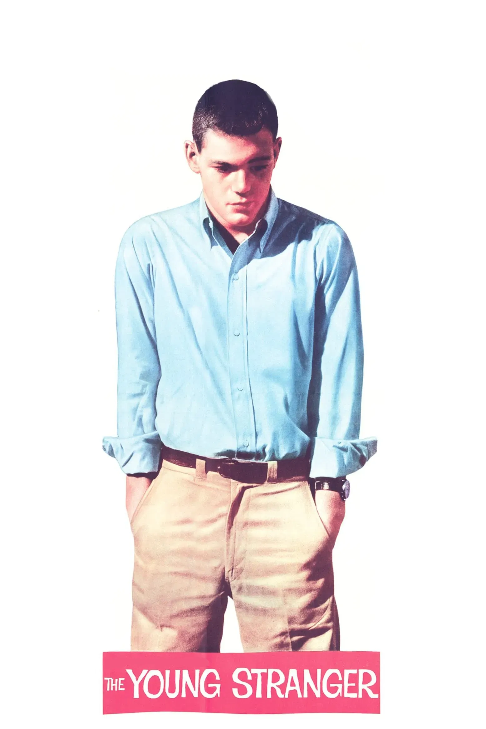 Poster of the movie The Young Stranger