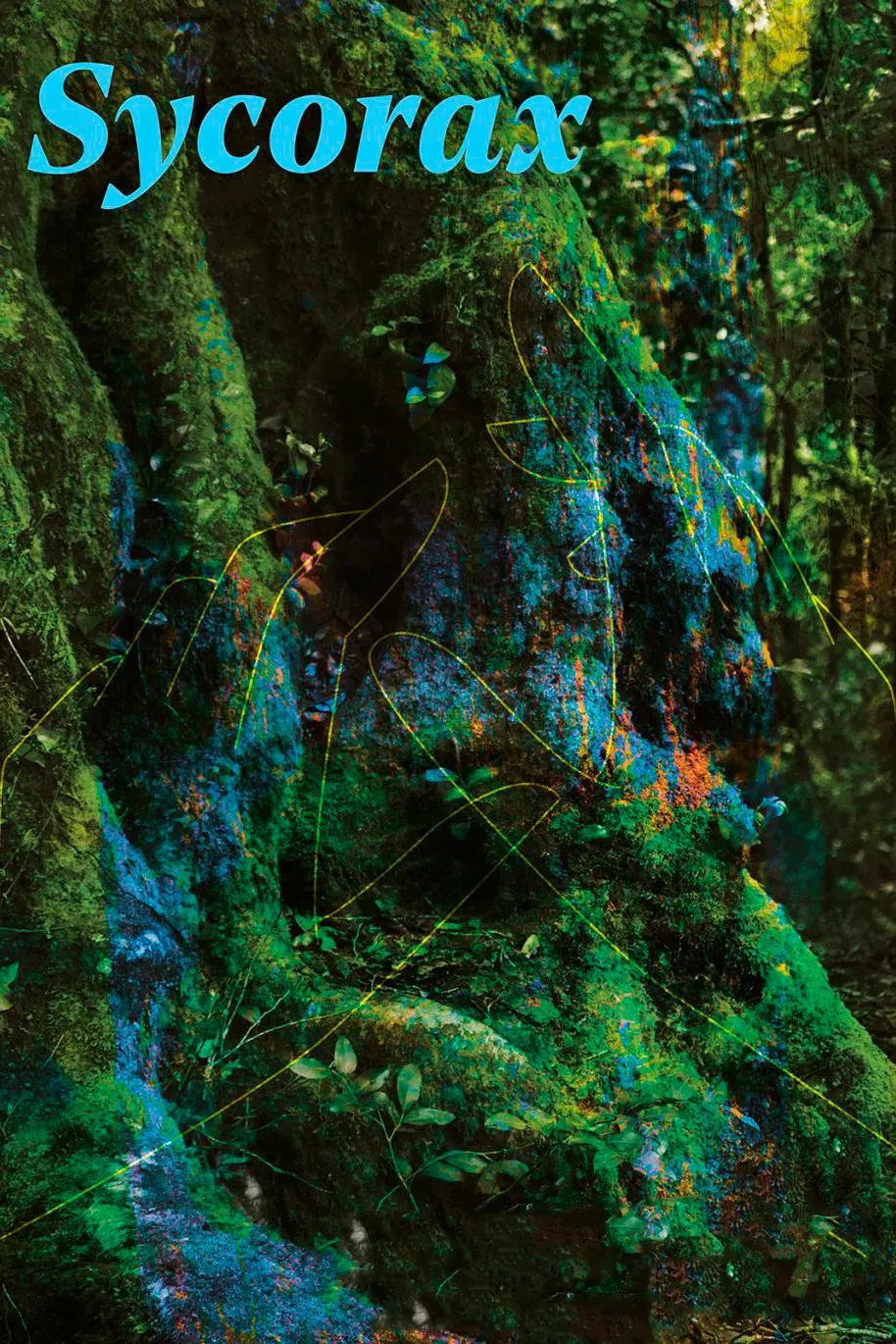 Poster of the movie Sycorax