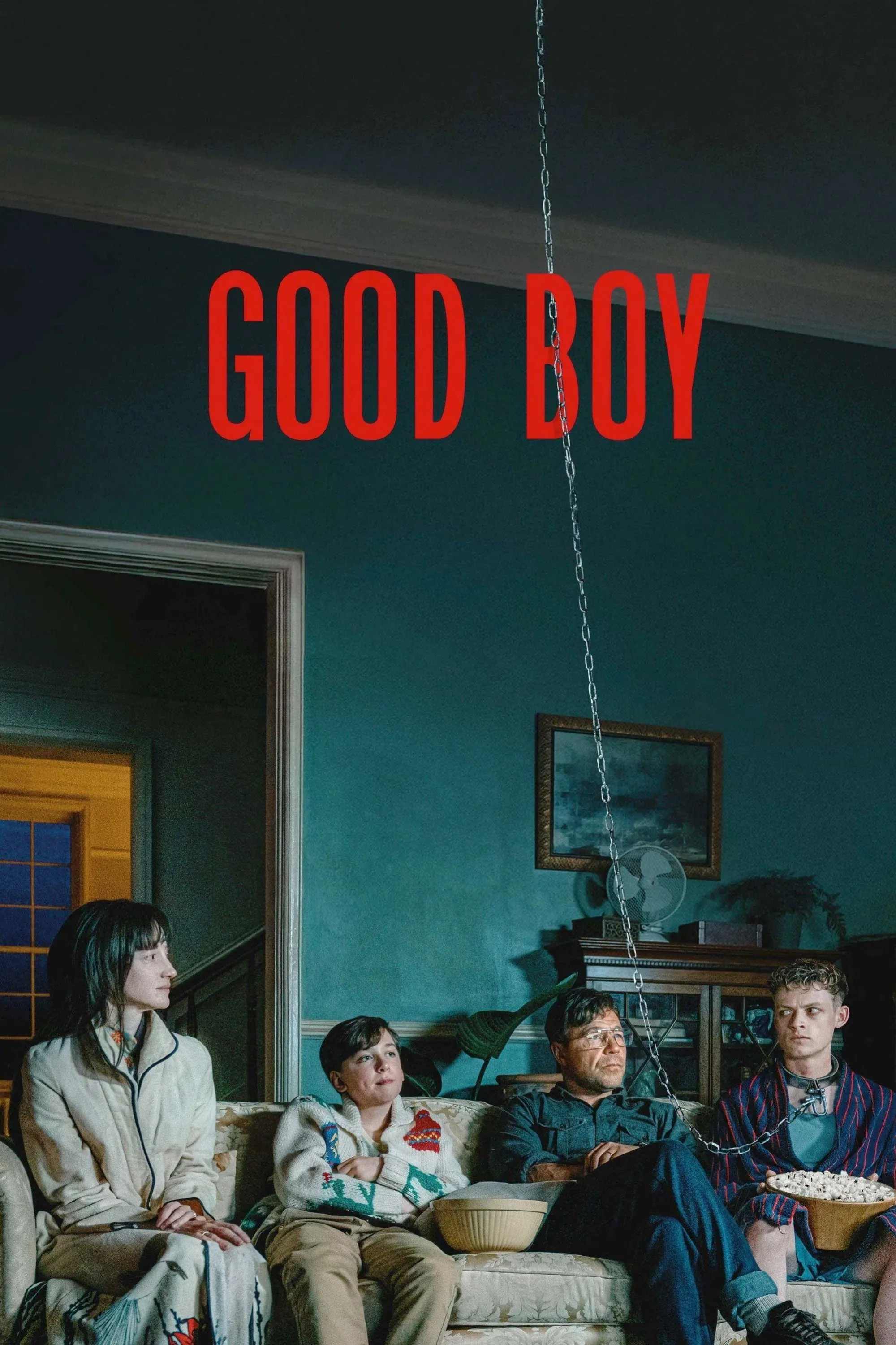Poster of the movie Good Boy