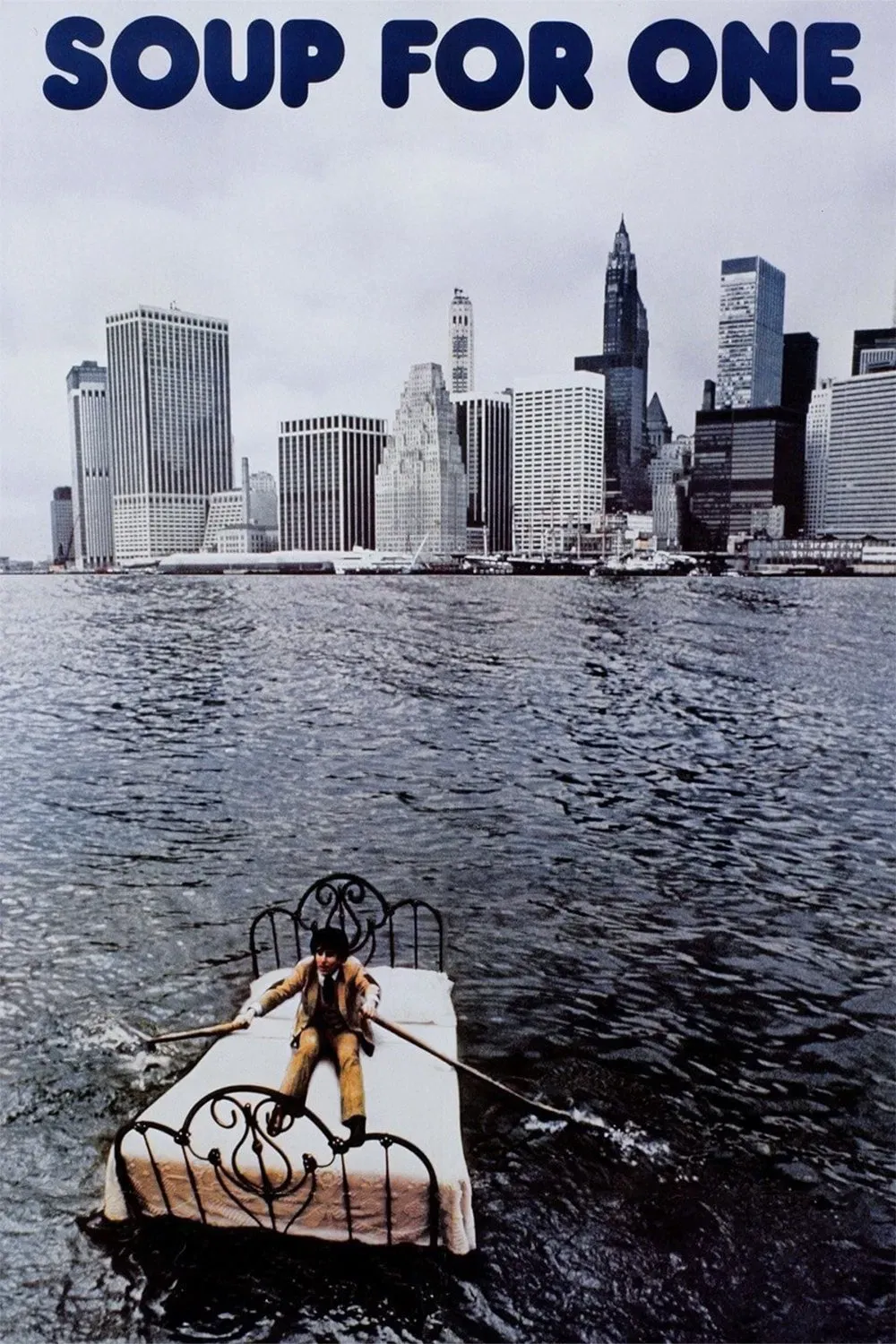 Poster of the movie Soup for One